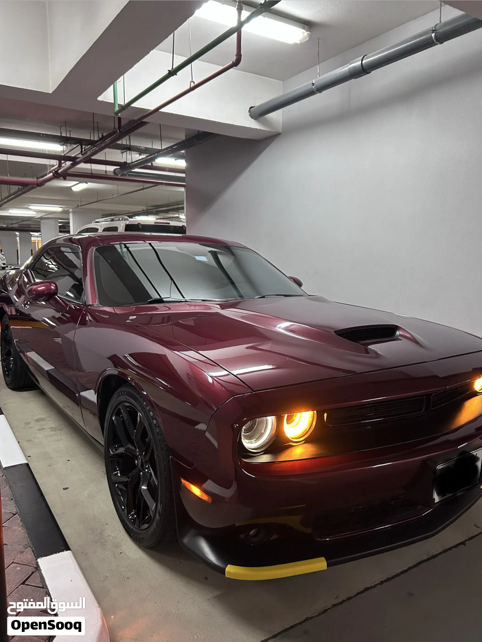 2020 Dodge Challenger
