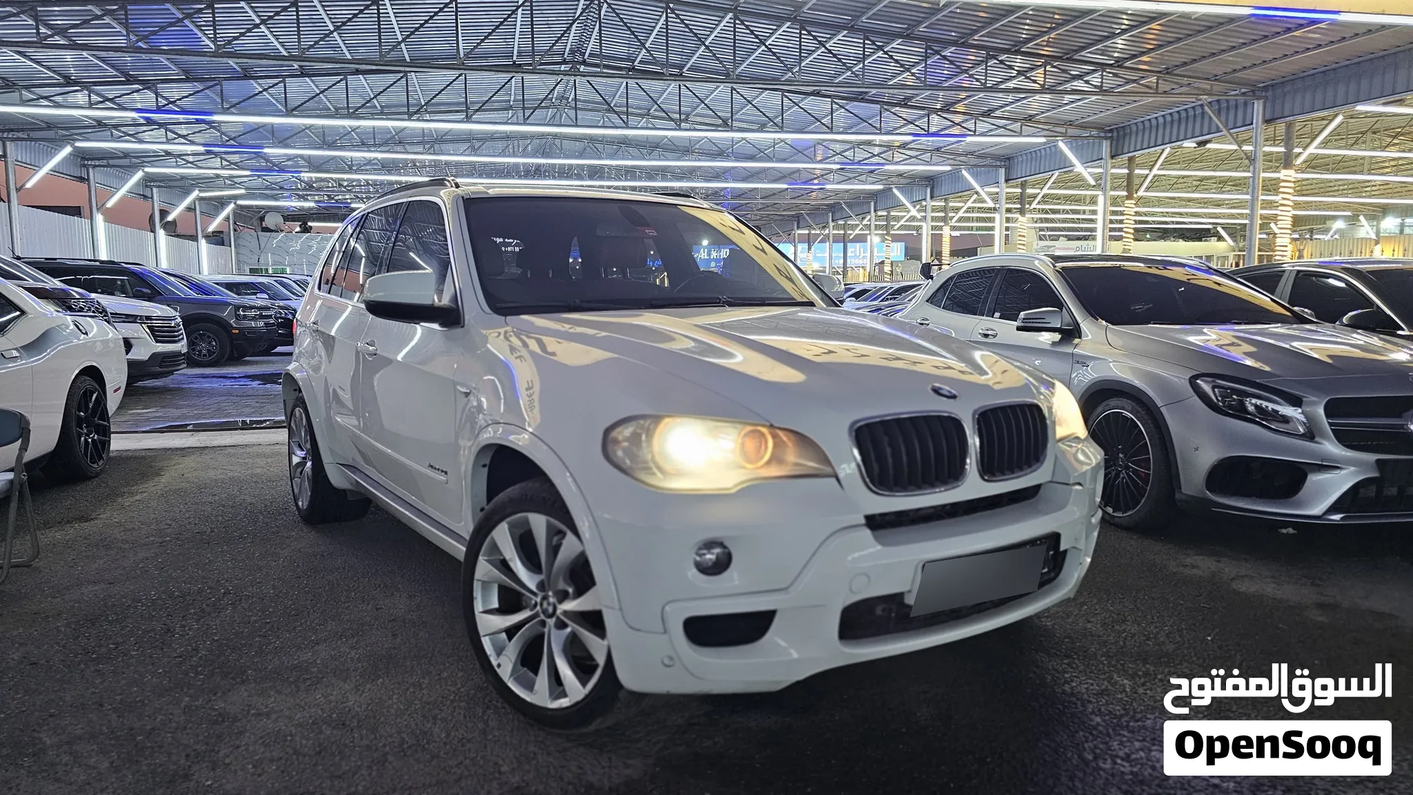 2010 BMW X5 Series
