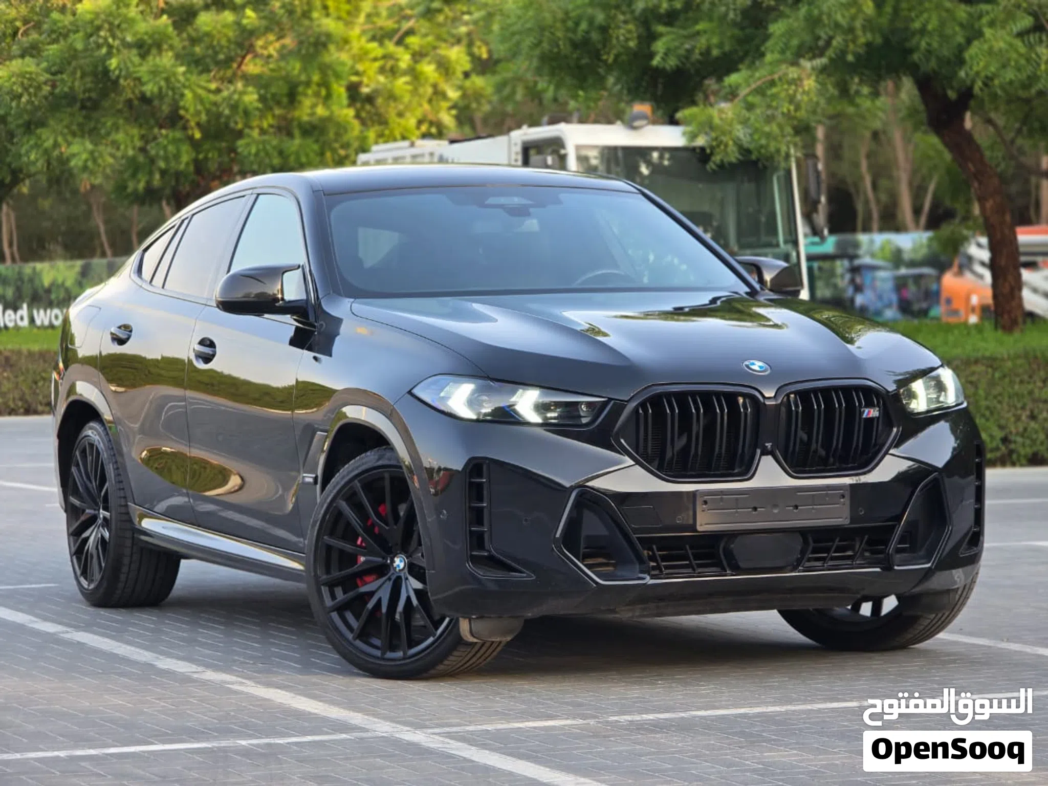 2023 BMW X6 Series