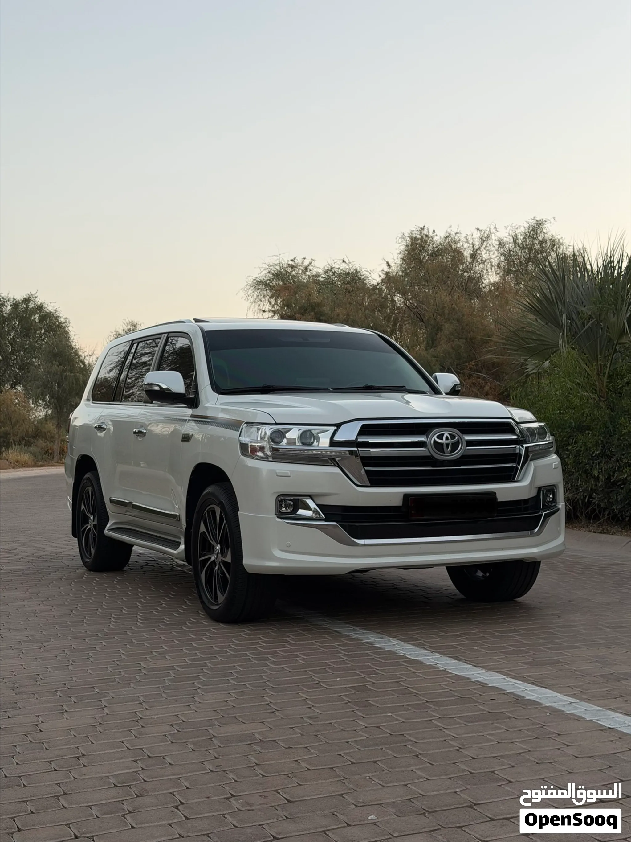 2020 Toyota Land Cruiser