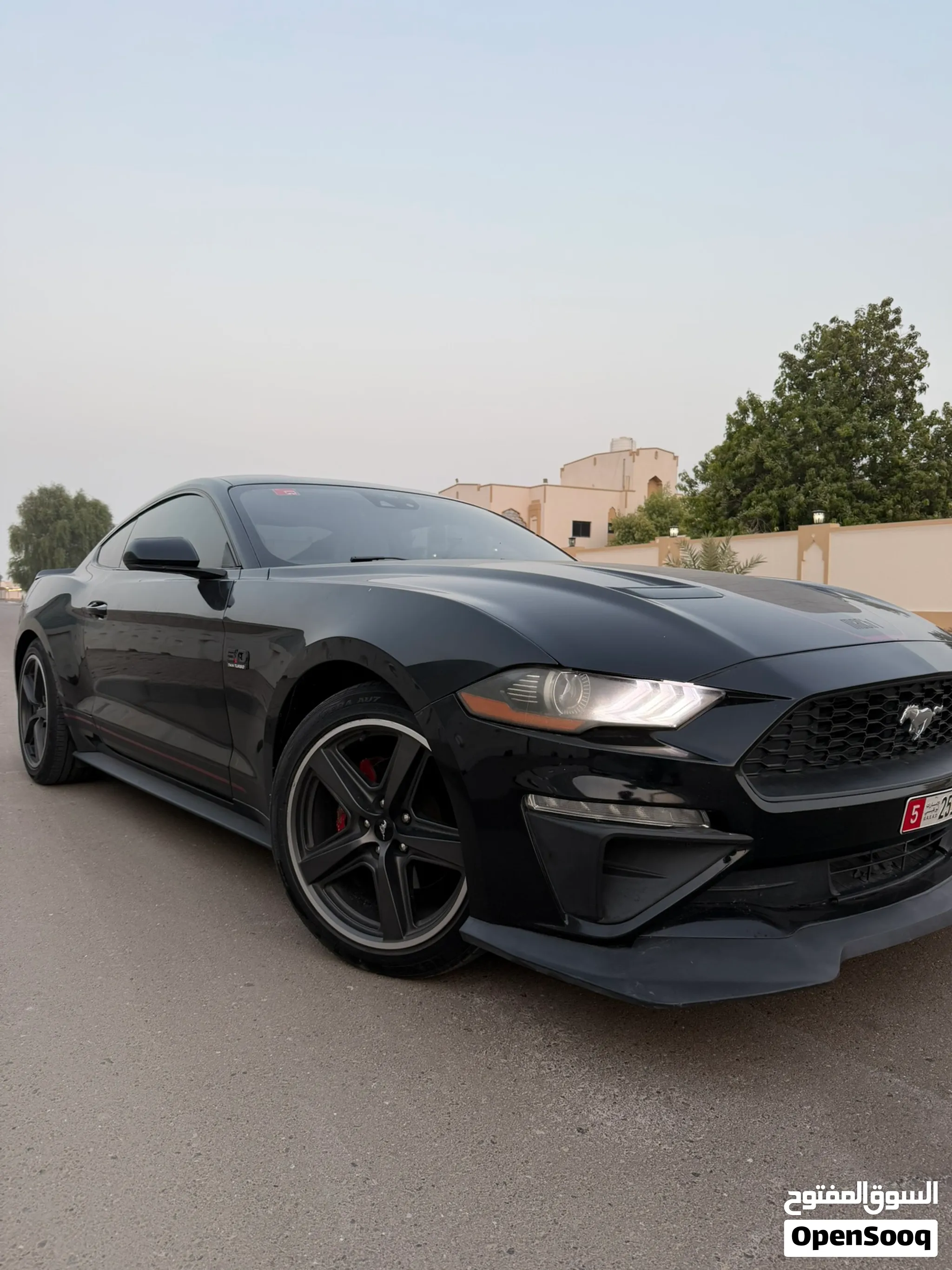 2022 Ford Mustang
