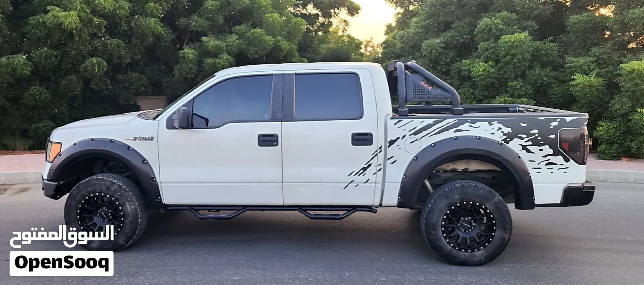 2013 Ford F 150