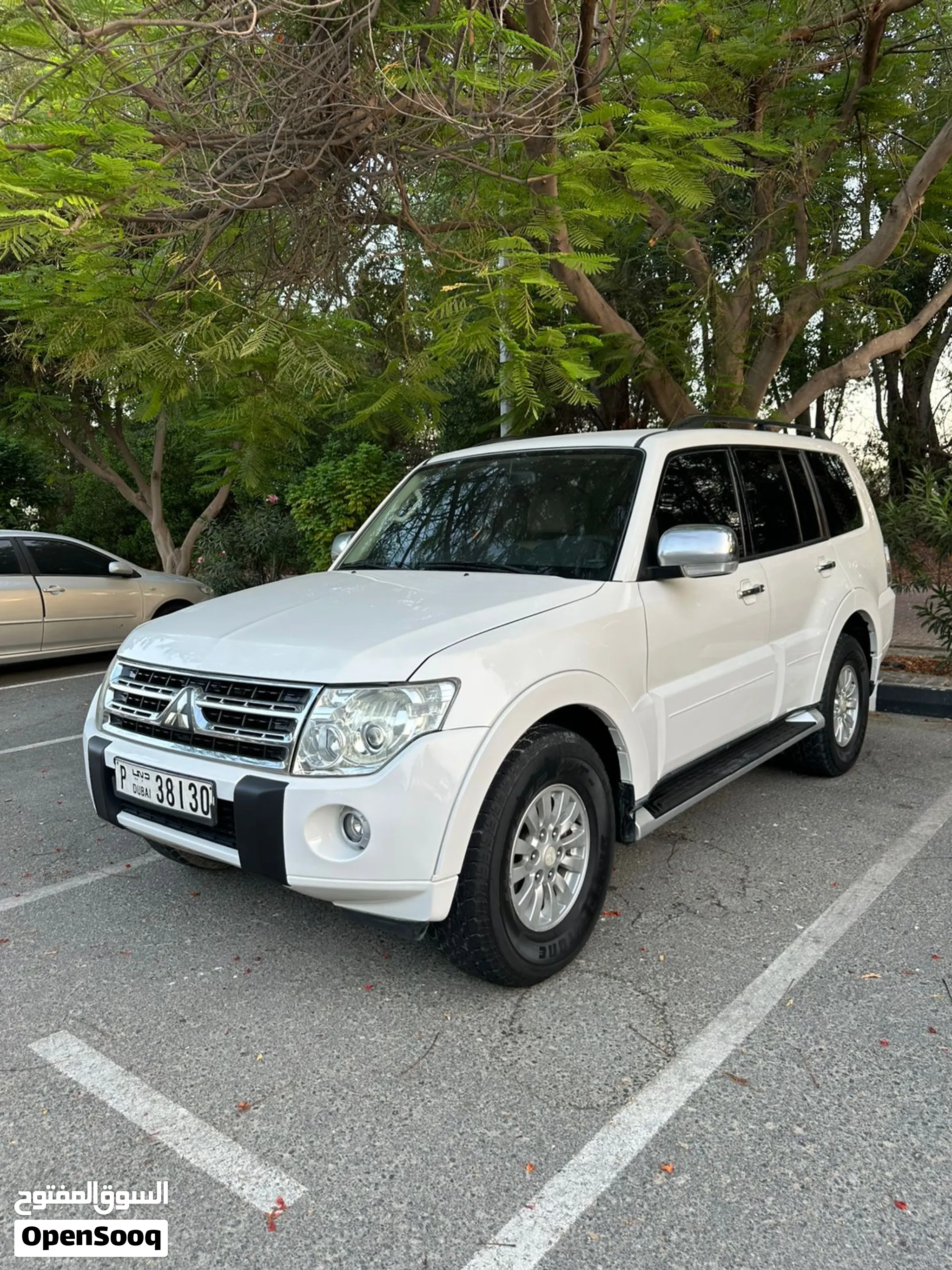 2010 Mitsubishi Pajero