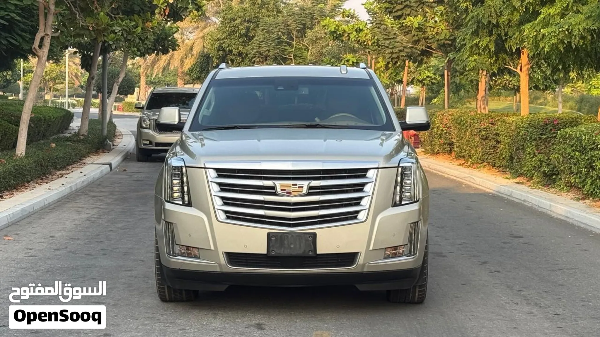 2016 Cadillac Escalade