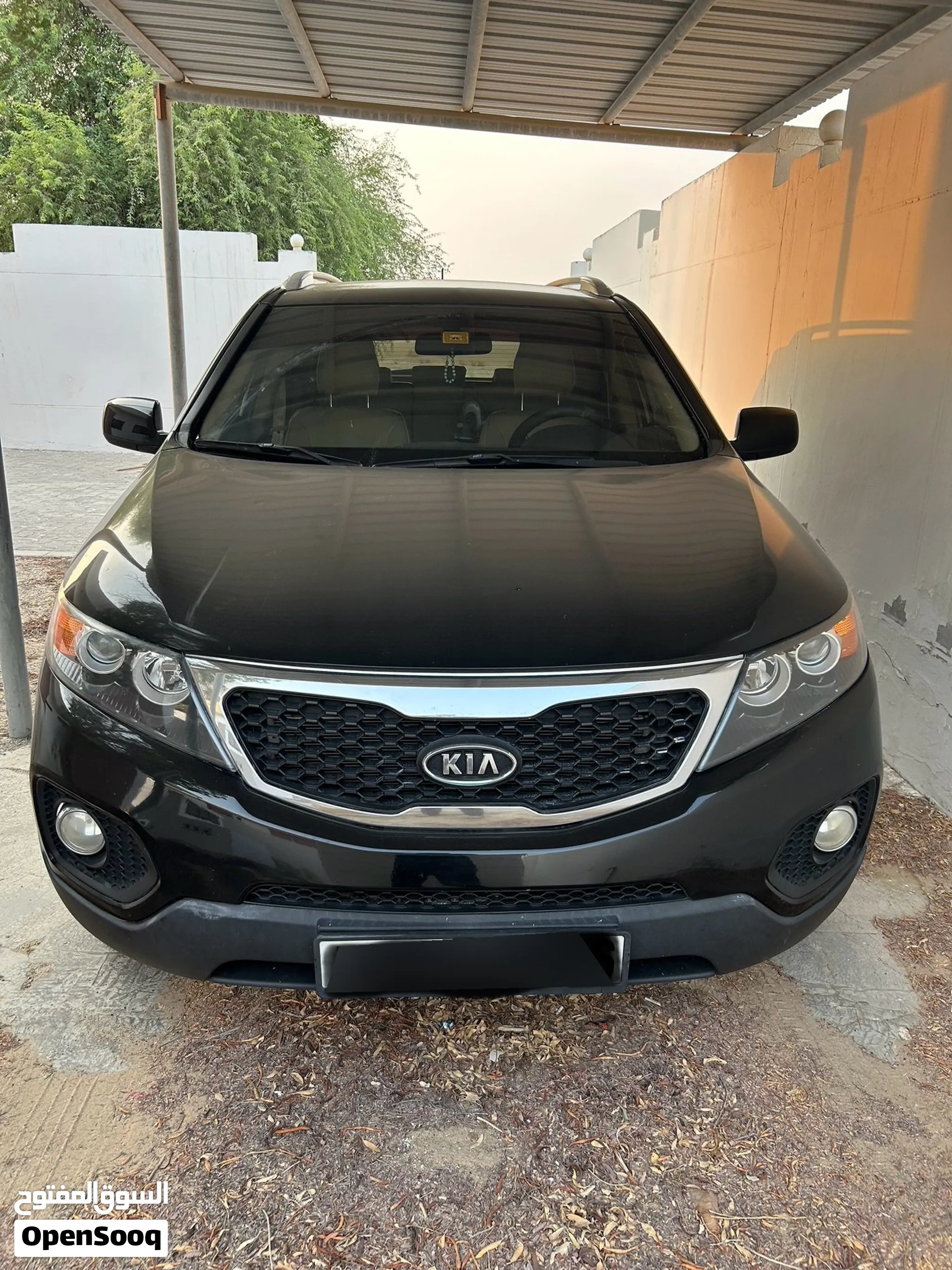 2010 Kia Sorento