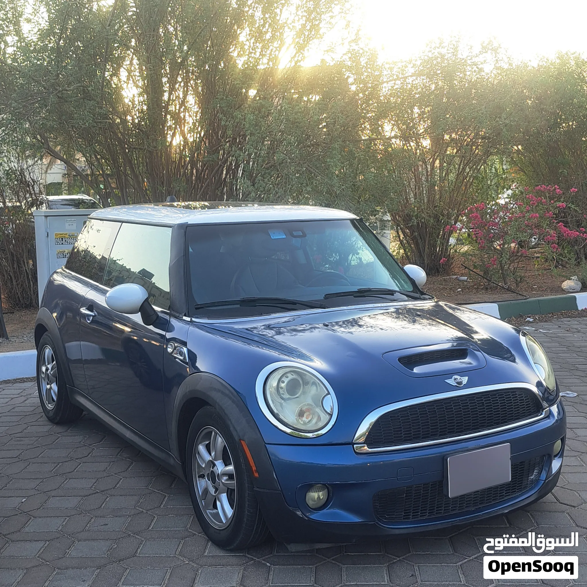 2013 Mini Other