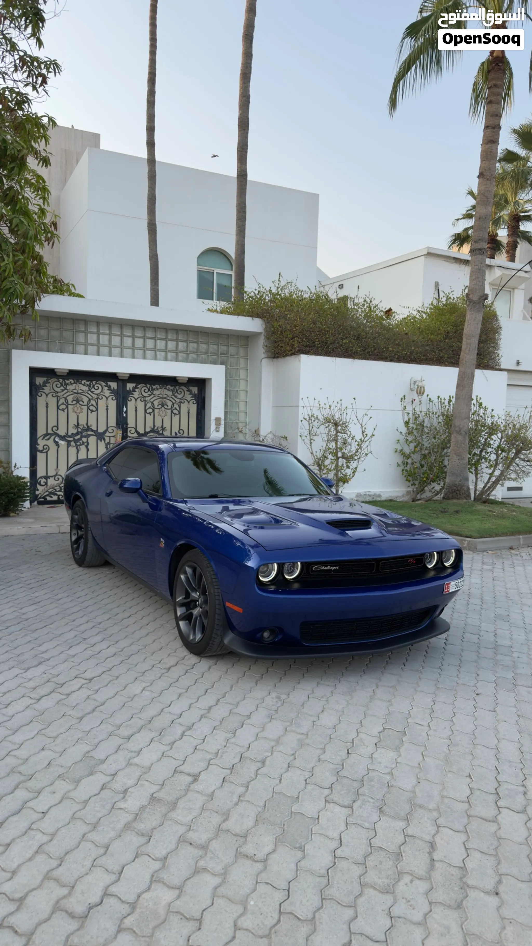 2022 Dodge Challenger