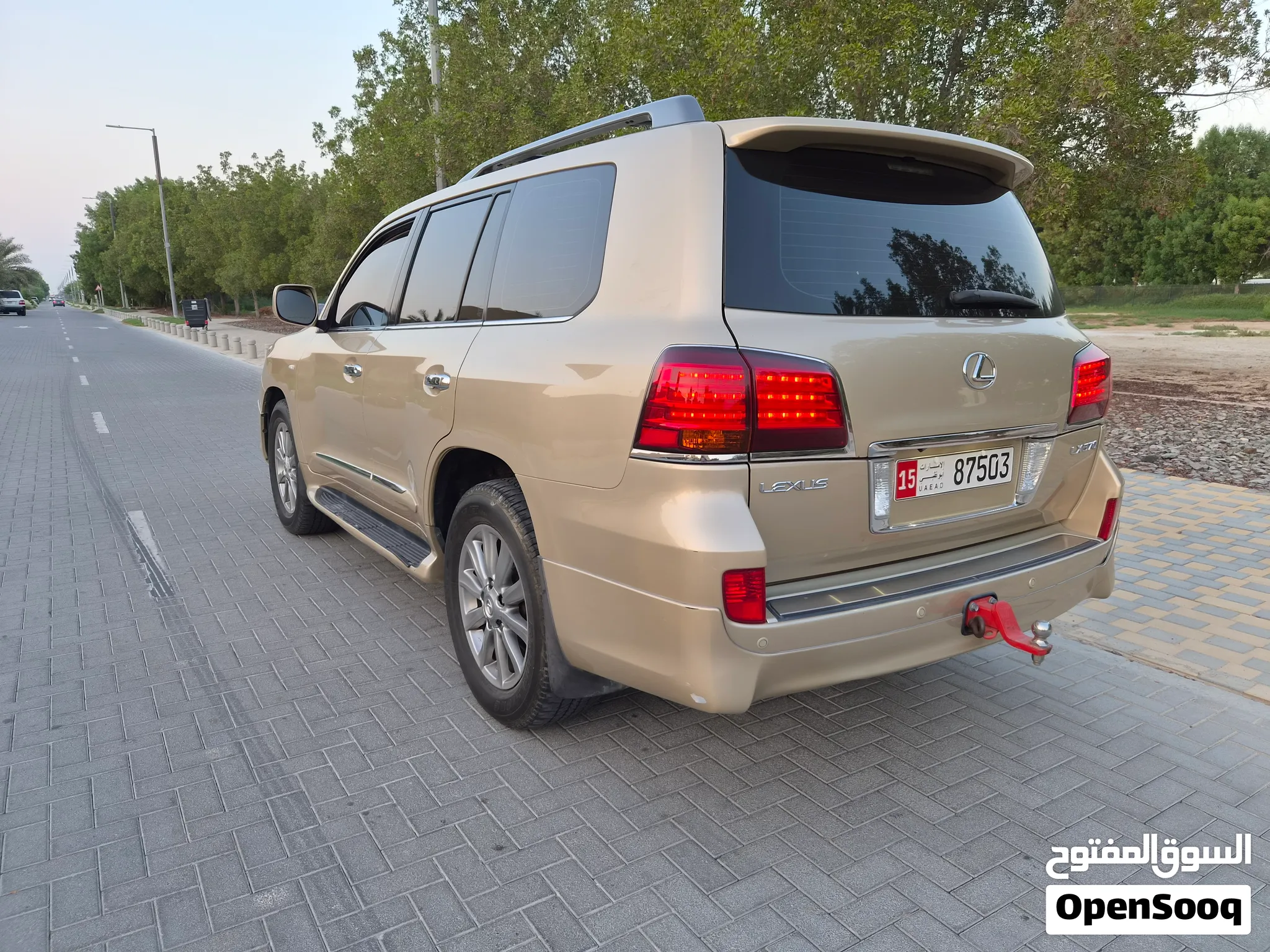 2010 Lexus LX