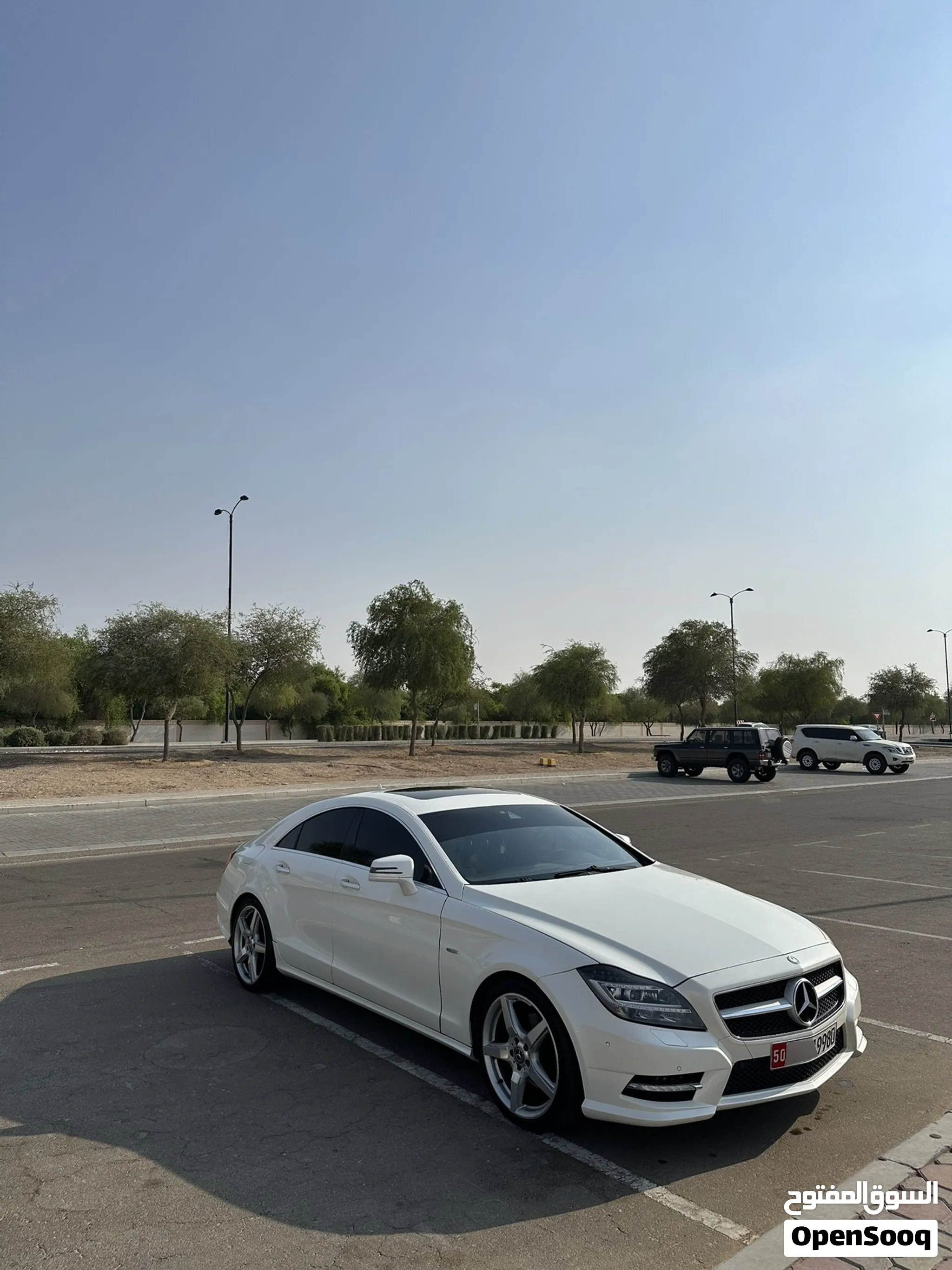 2013 Mercedes Benz Cls Class