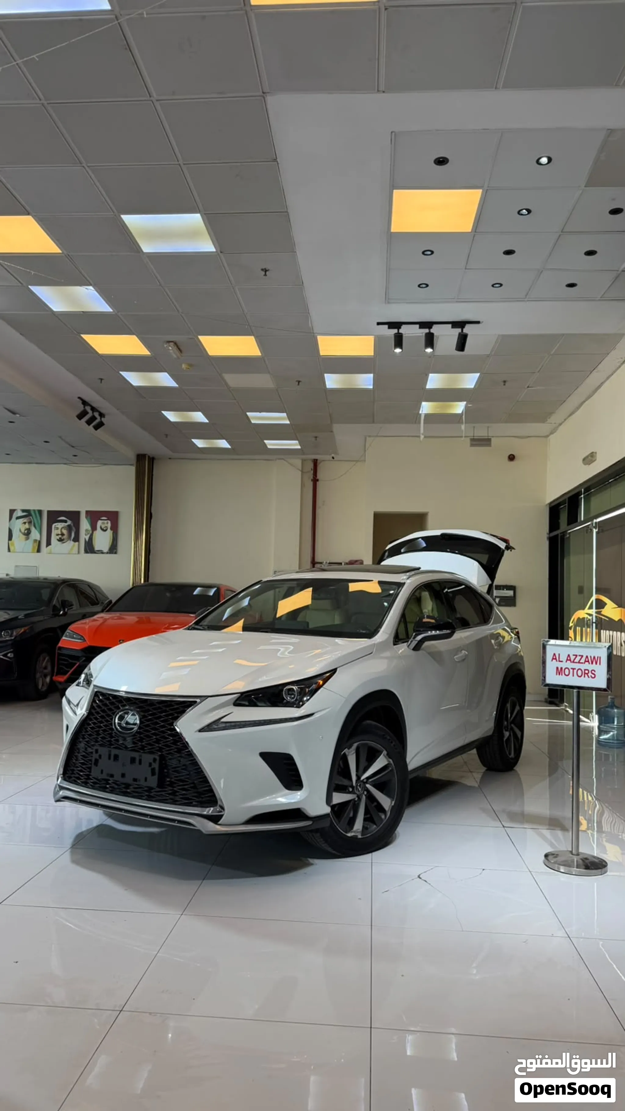 2020 Lexus NX