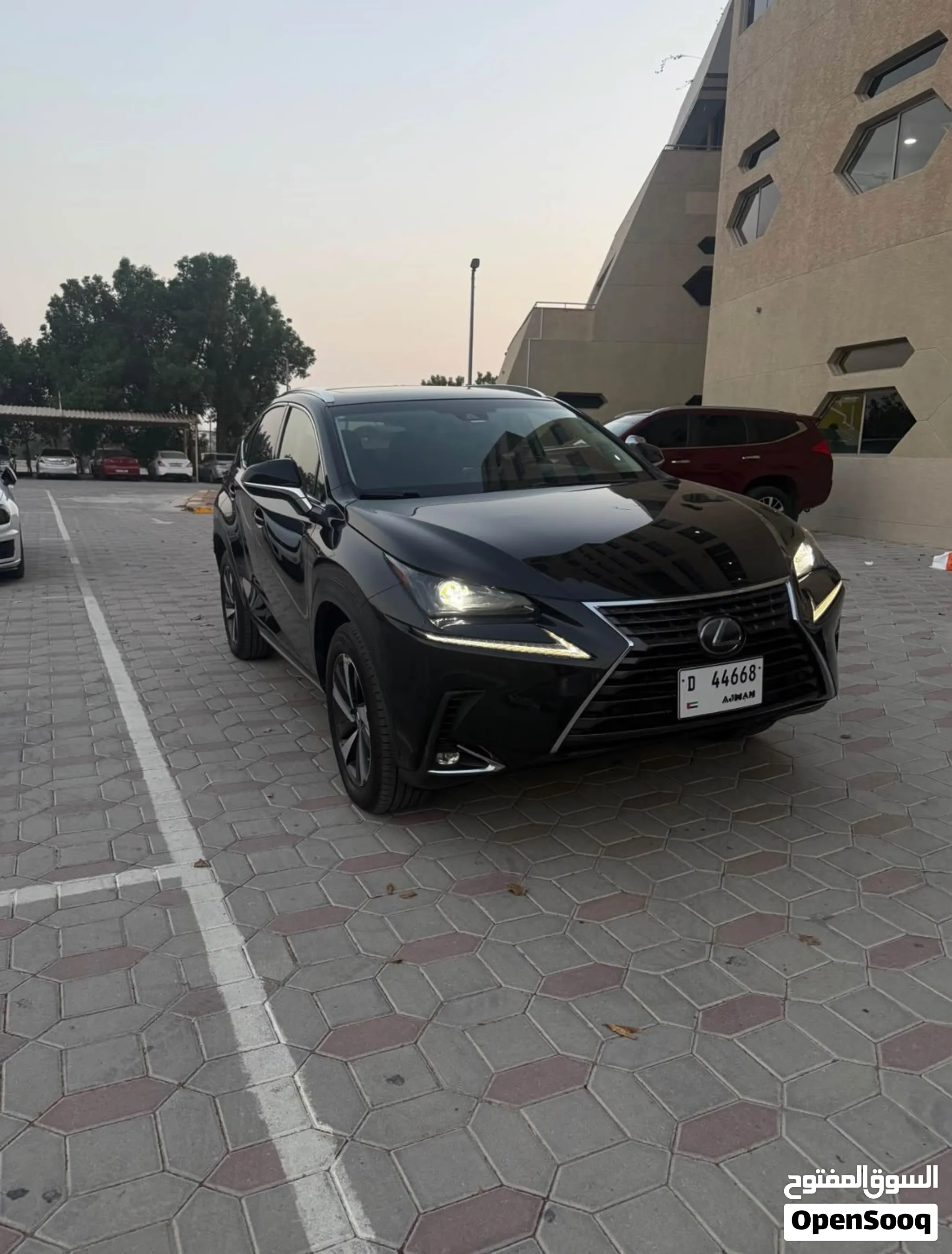 2018 Lexus NX