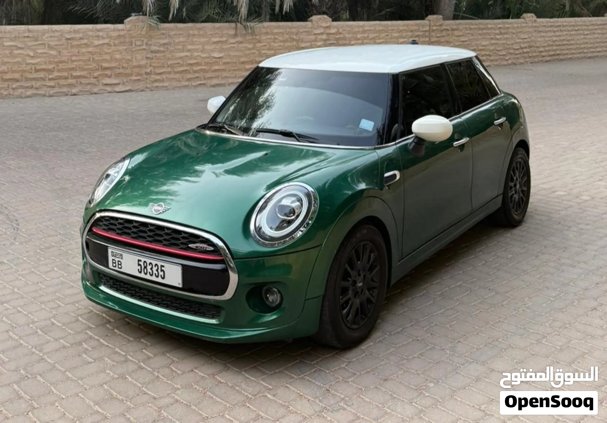2020 Mini Other