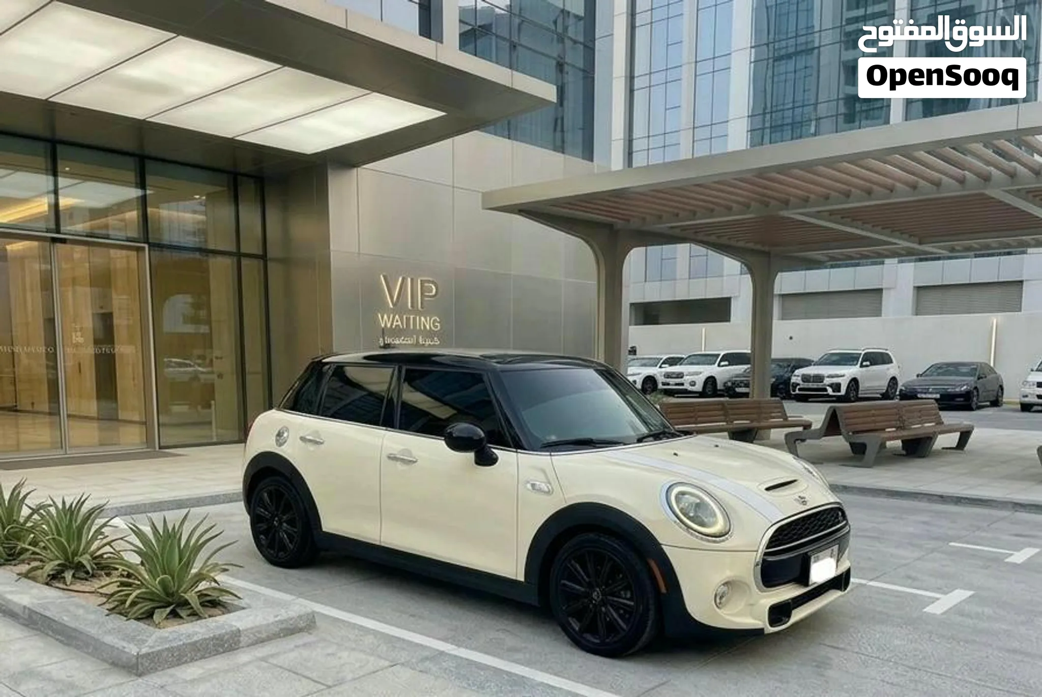 2020 Mini Other