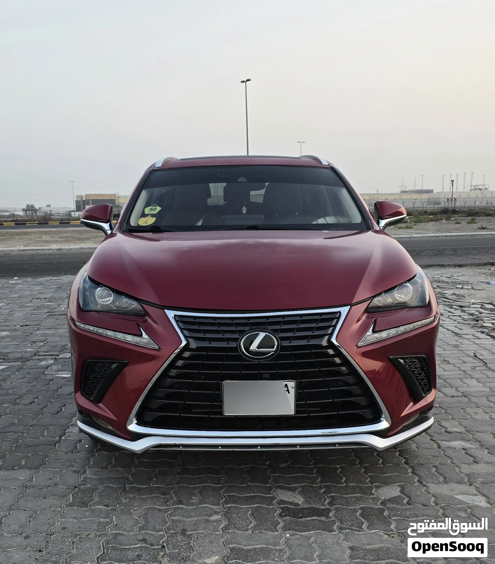 2020 Lexus NX