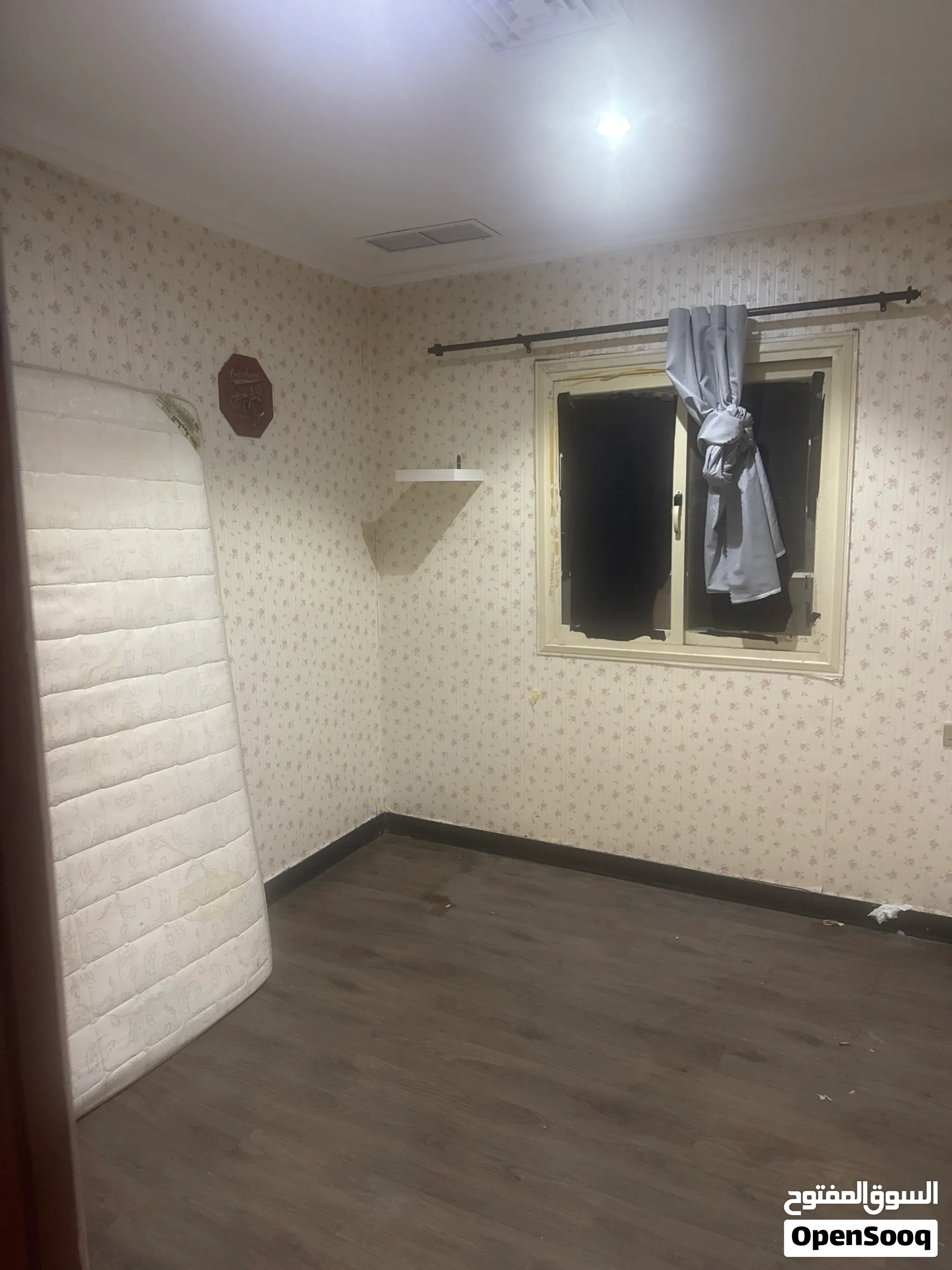 photos