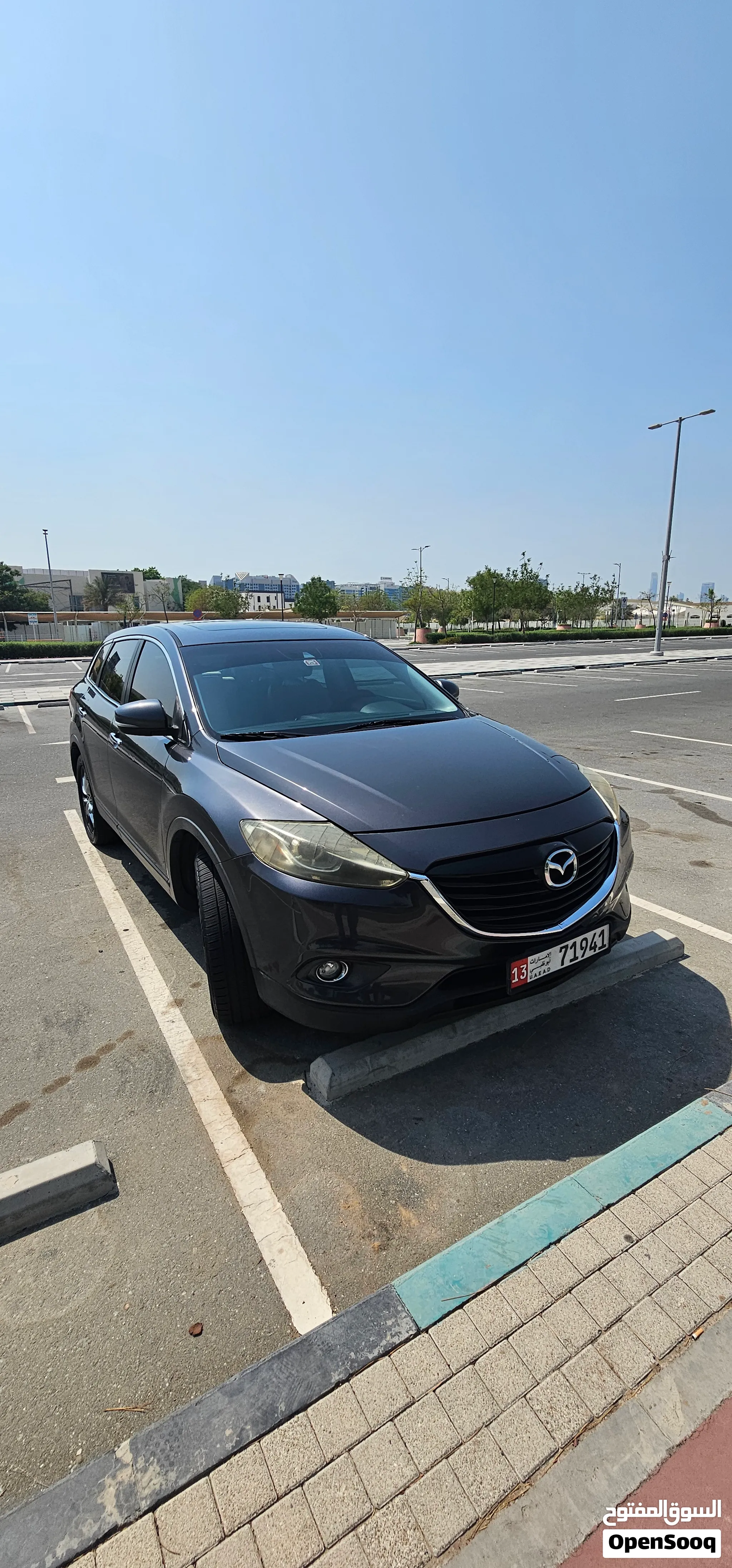 2014 Mazda CX 9