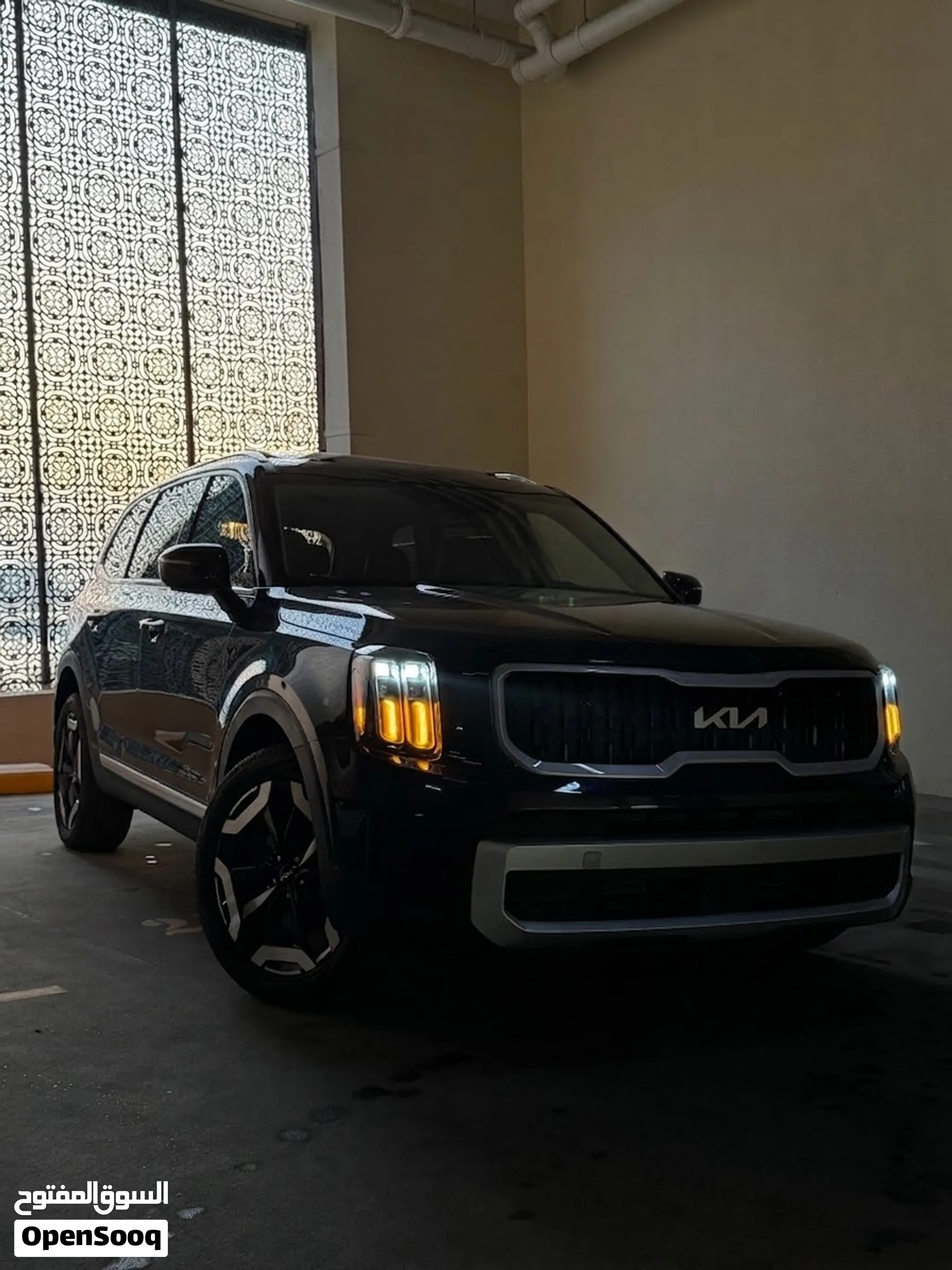 2025 Kia Telluride