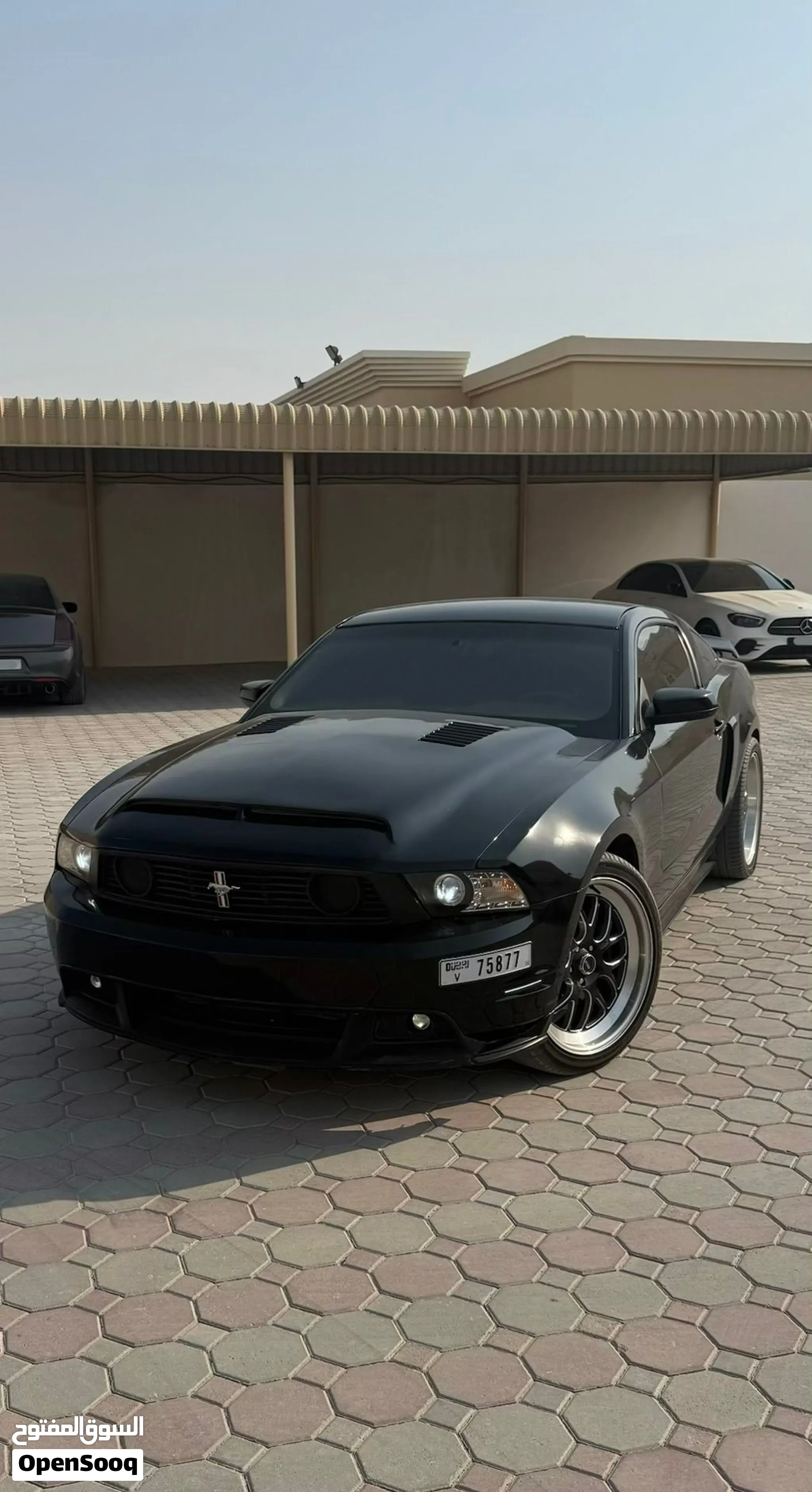 2010 Ford Mustang