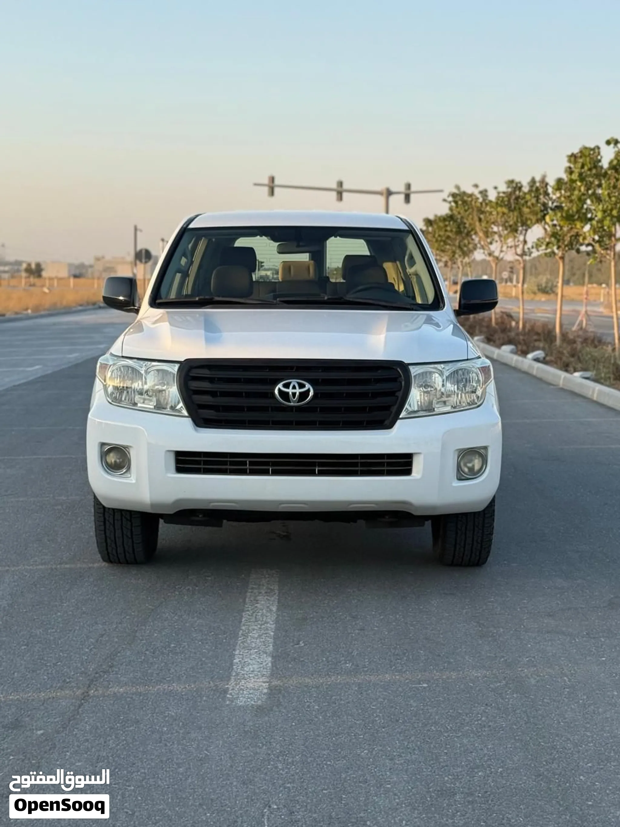 2013 Toyota Land Cruiser