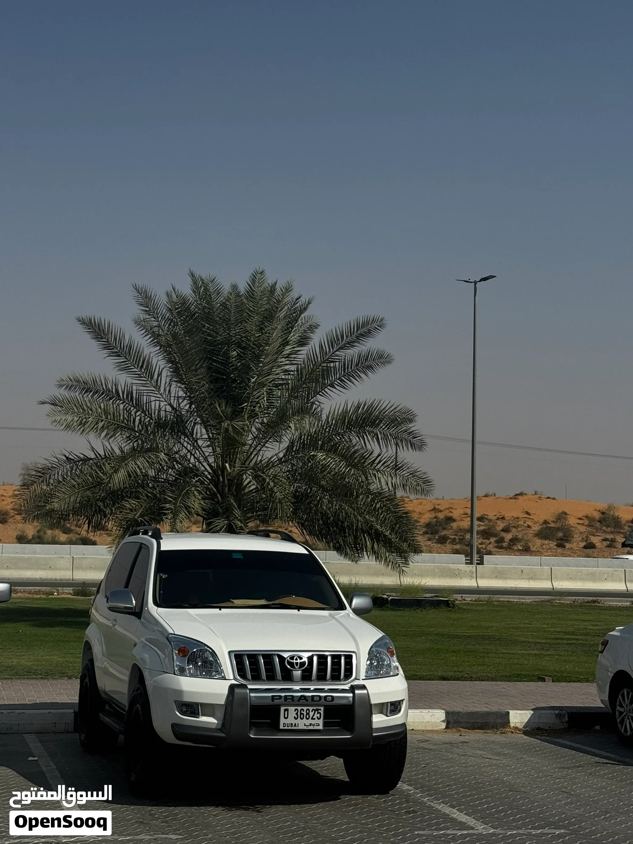 2008 Toyota Prado
