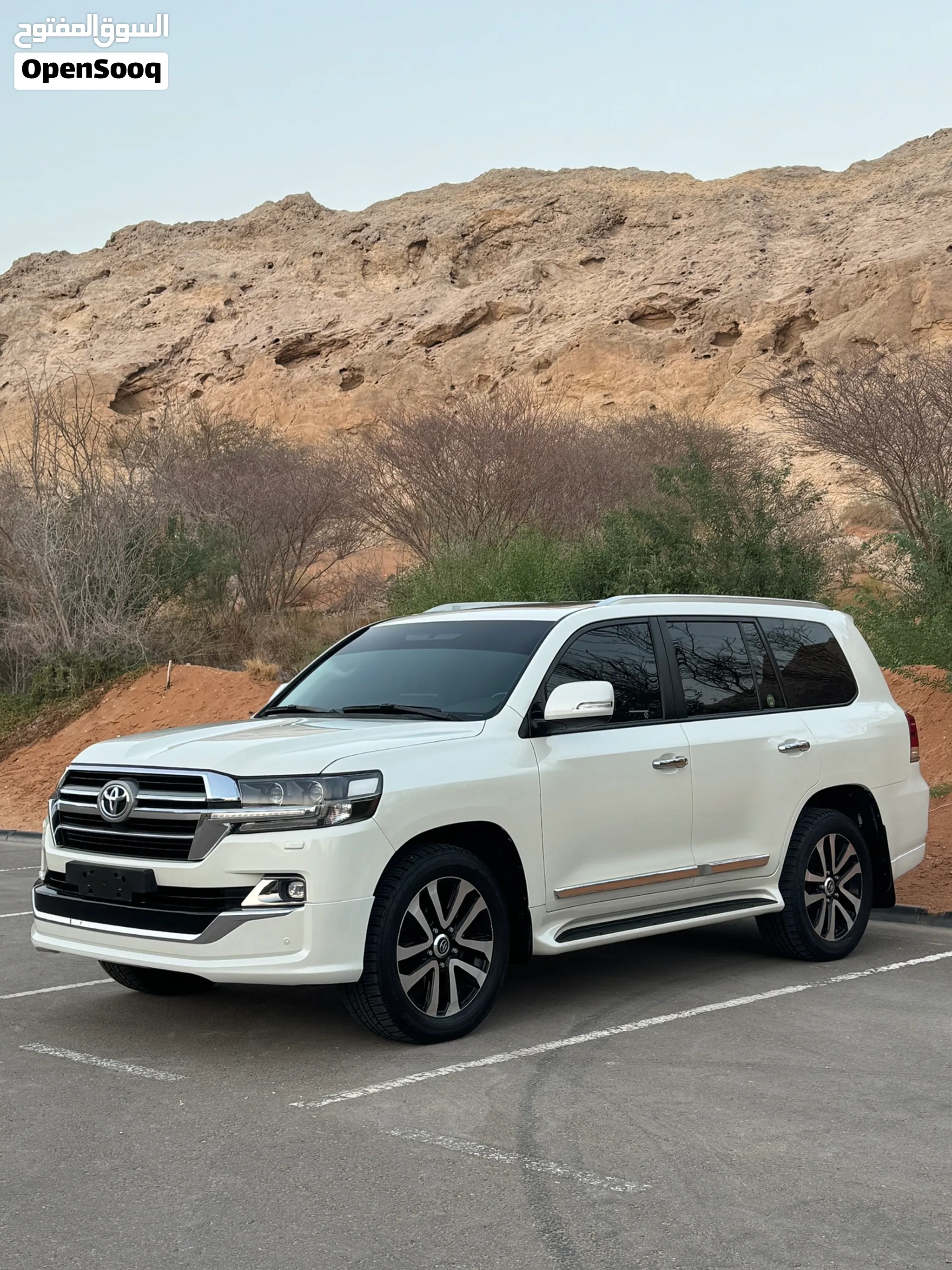 2019 Toyota Land Cruiser