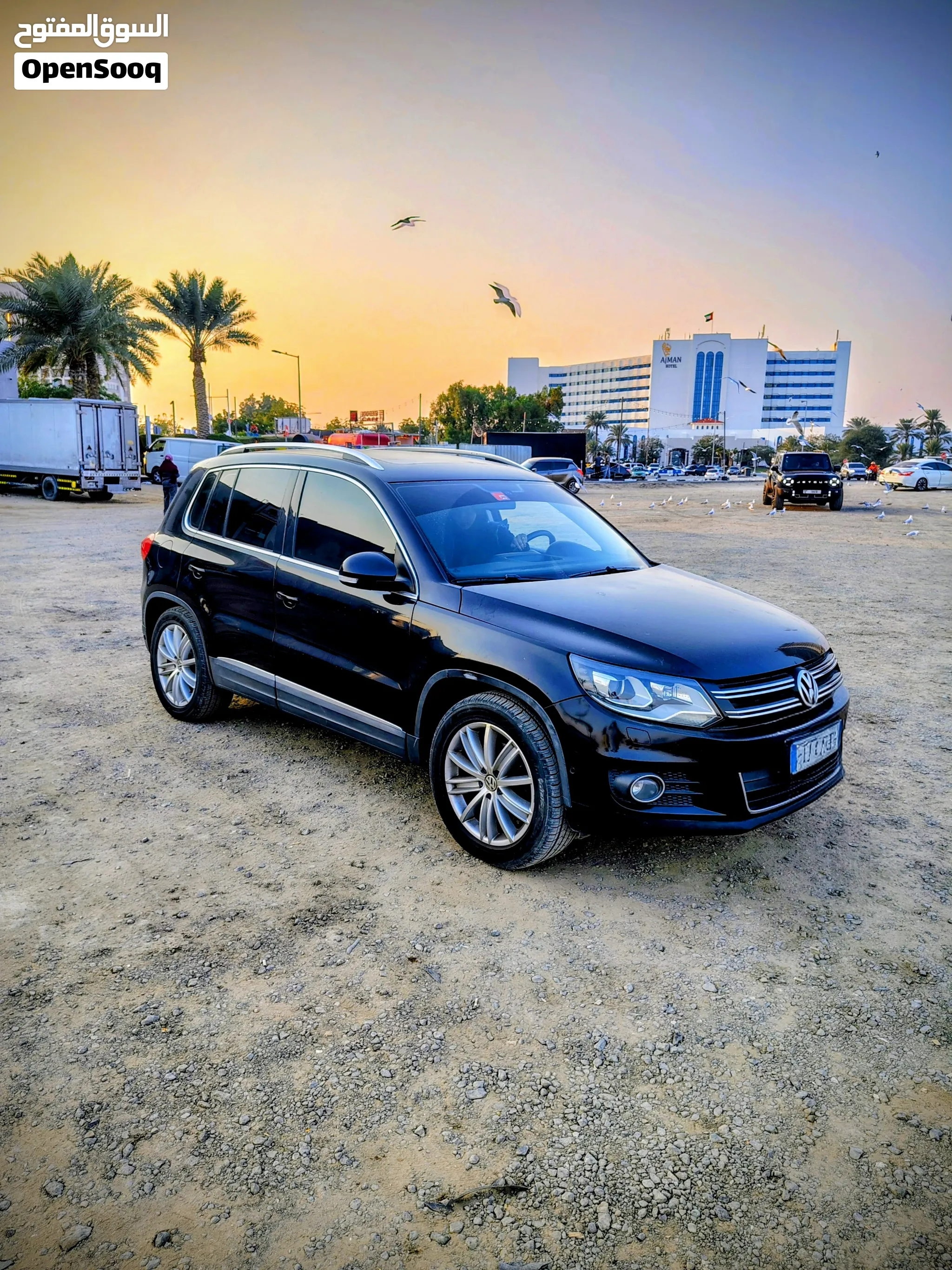 2012 Volkswagen Tiguan