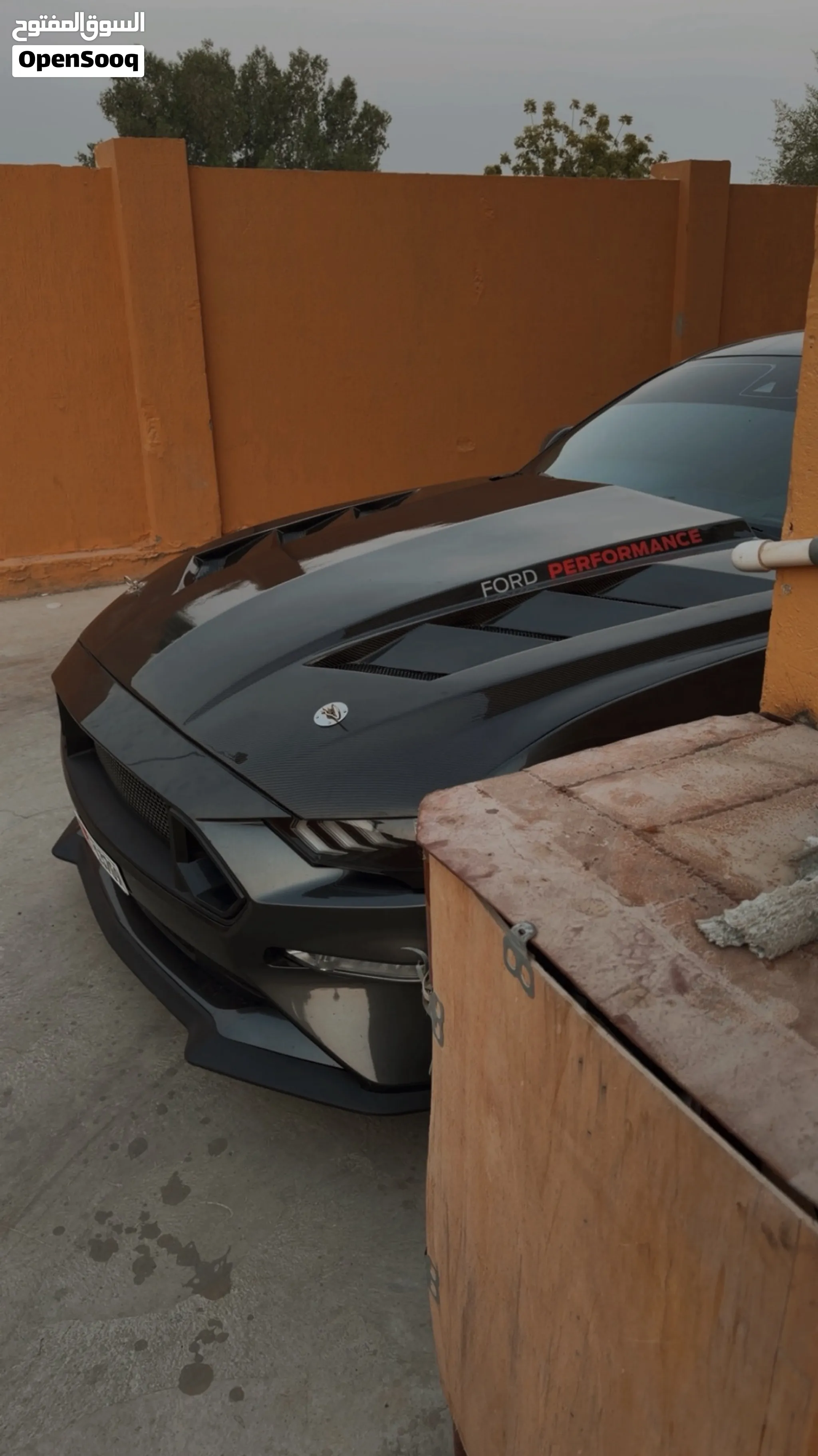 2019 Ford Mustang