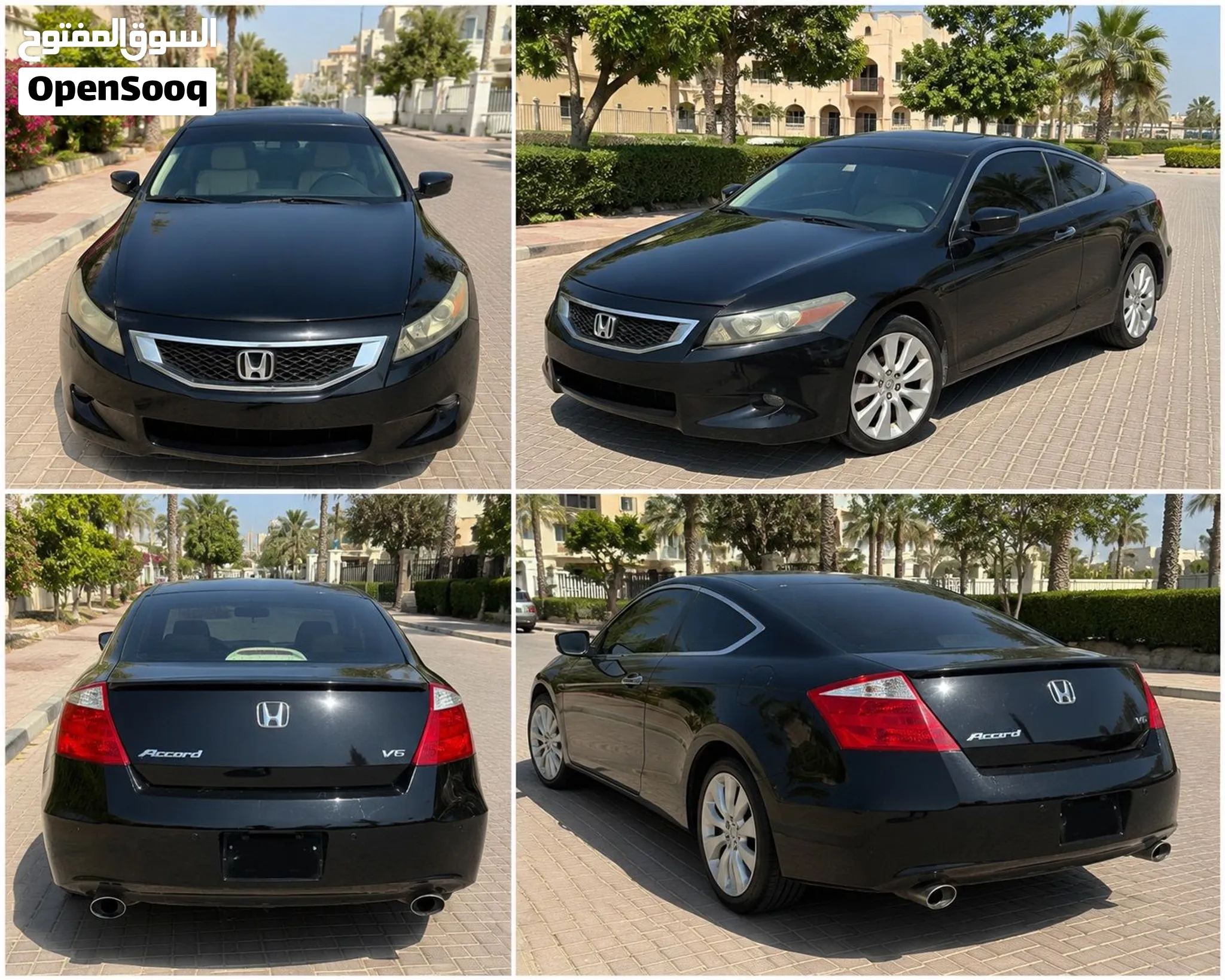 2010 Honda Accord