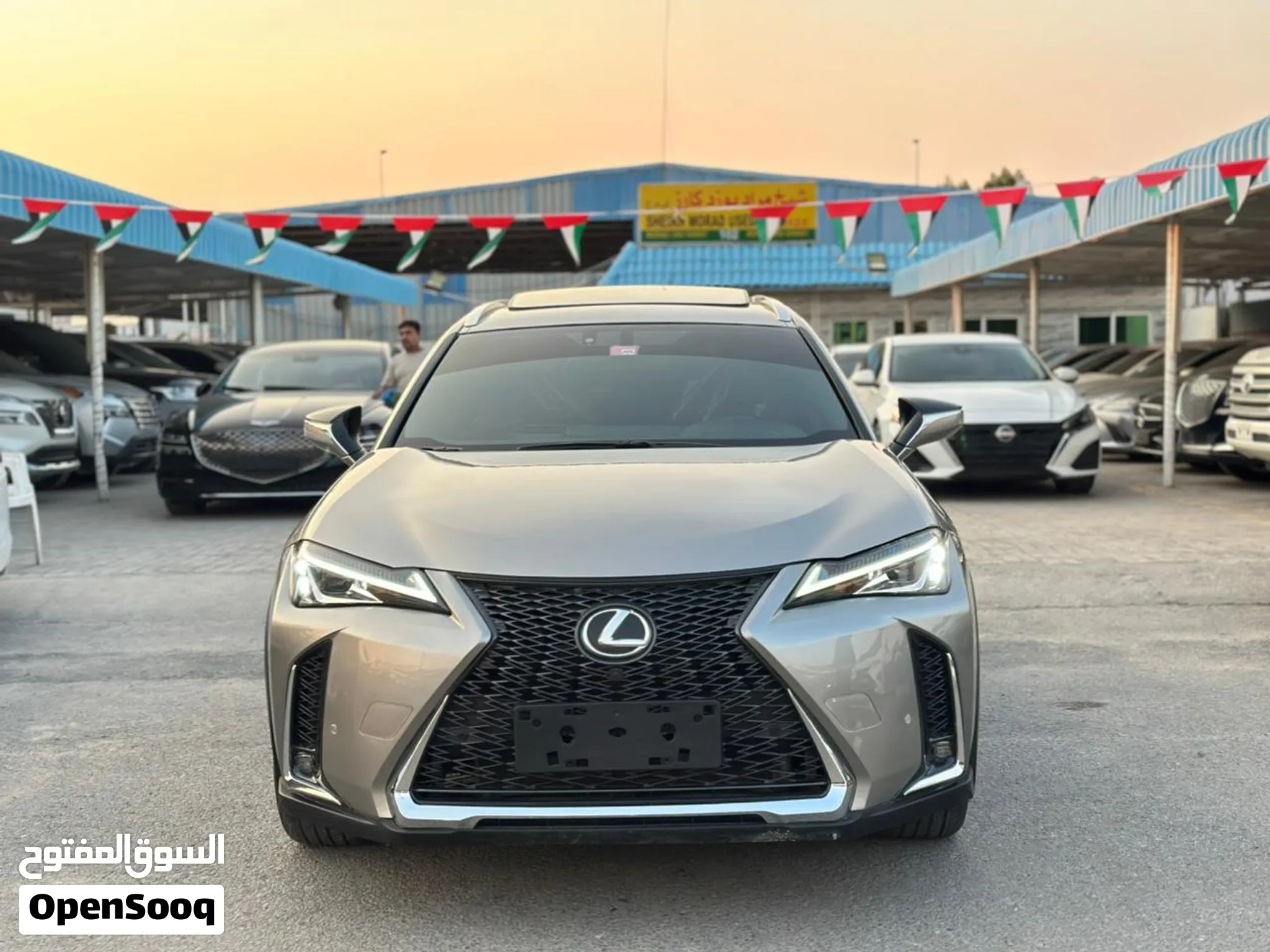 2020 Lexus UX