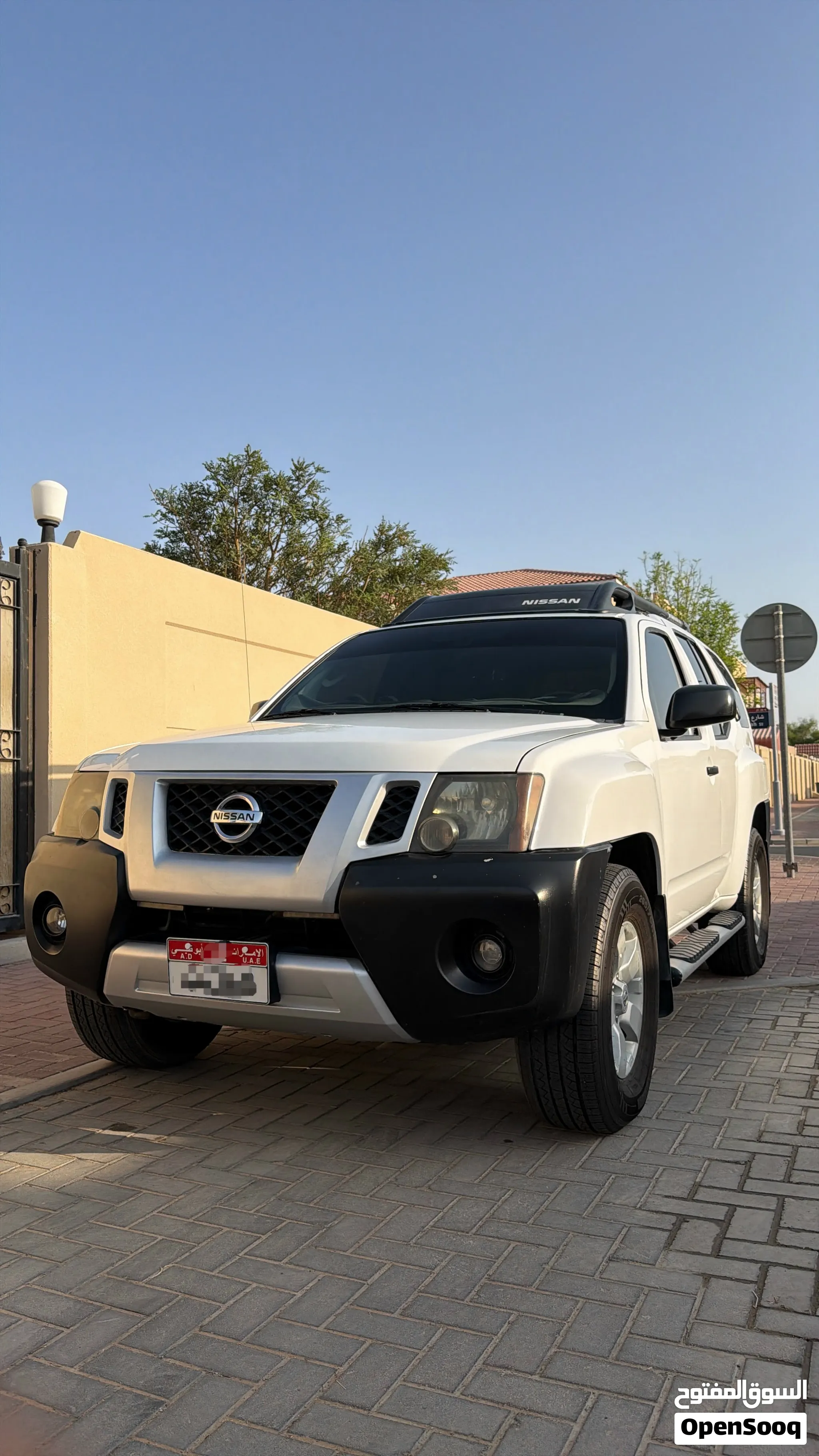 2010 Nissan X-Terra