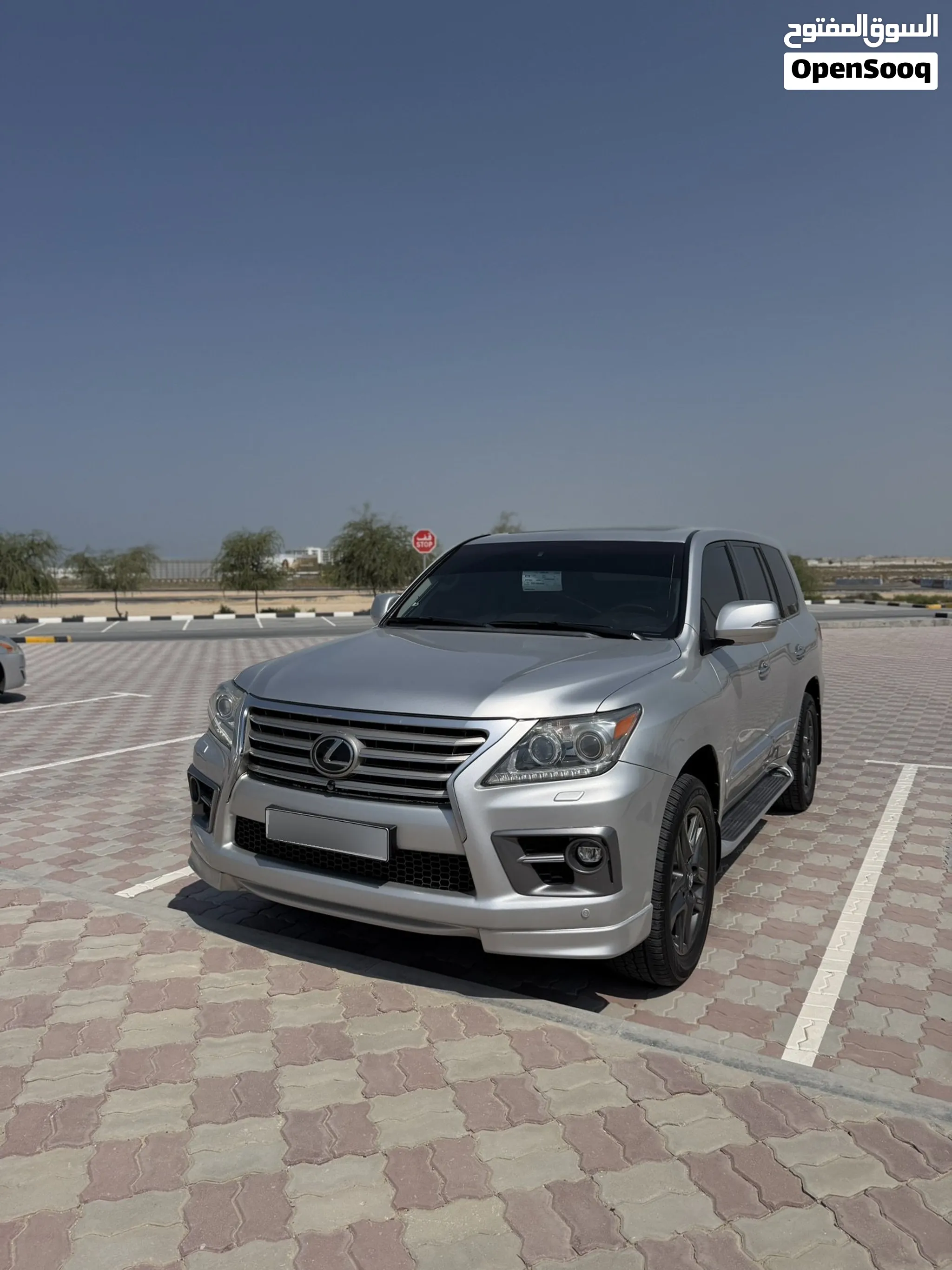 2013 Lexus LX