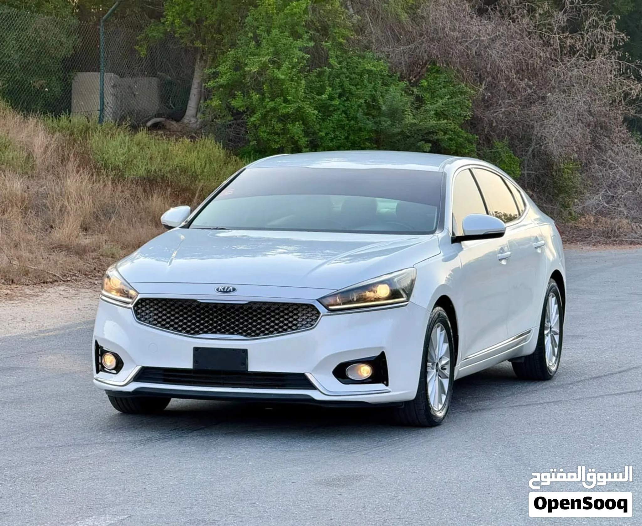 2019 Kia Cadenza