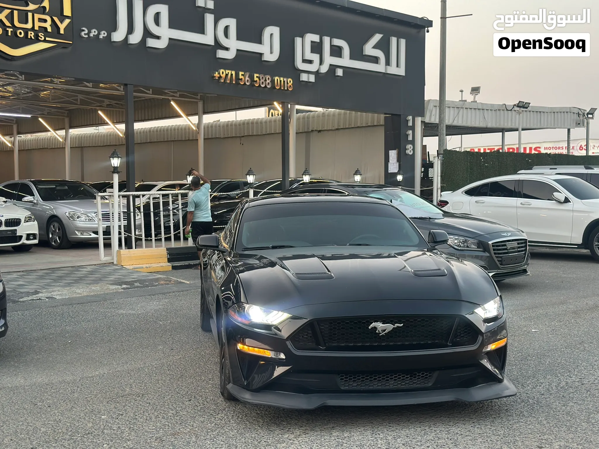 null Ford Mustang