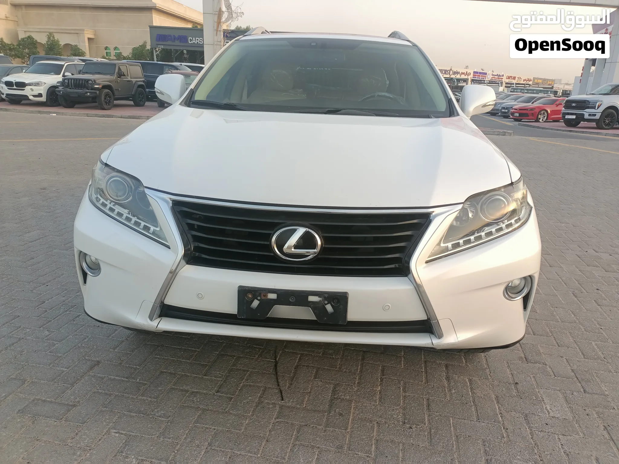 2013 Lexus RX