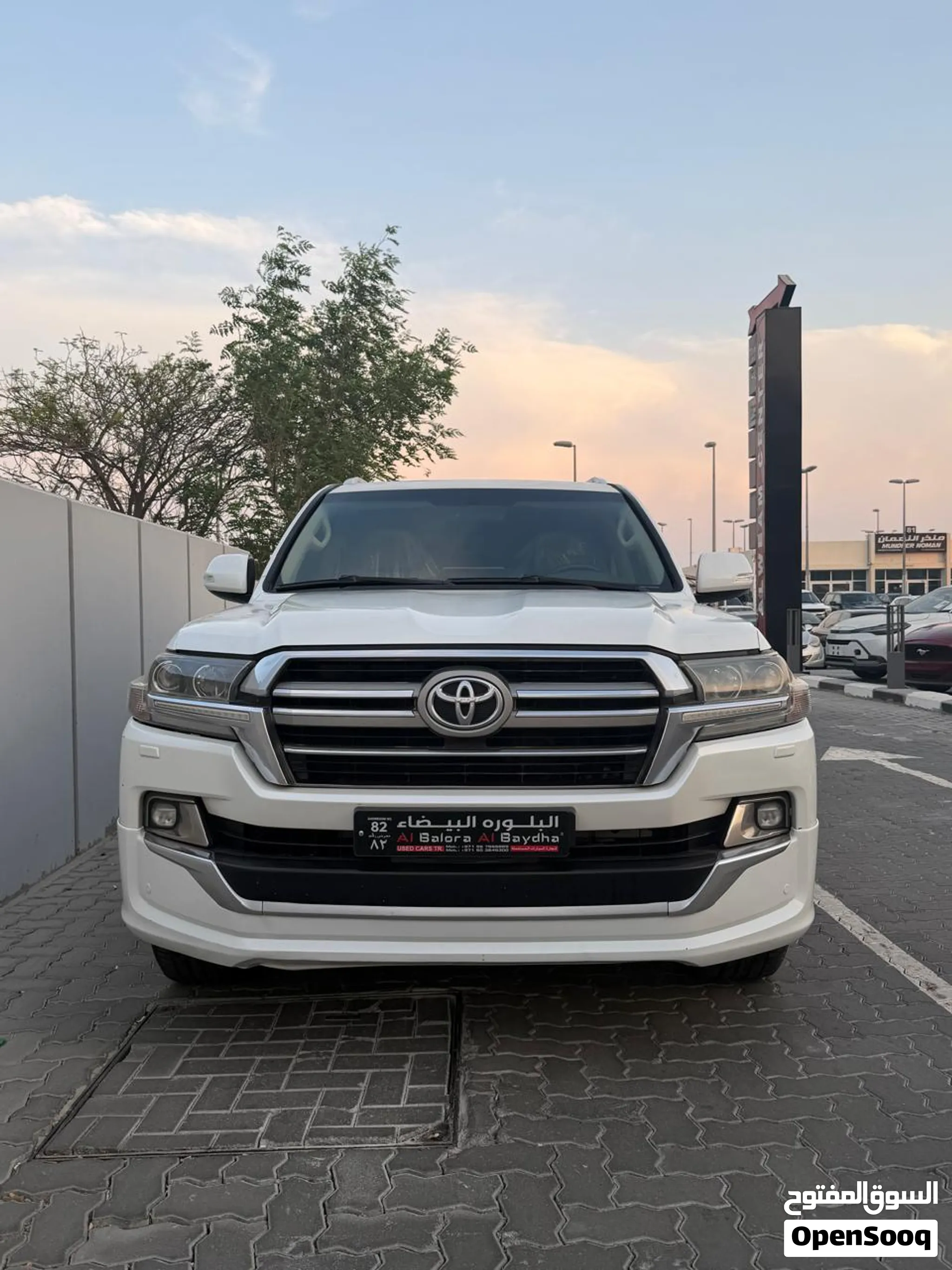 2019 Toyota Land Cruiser