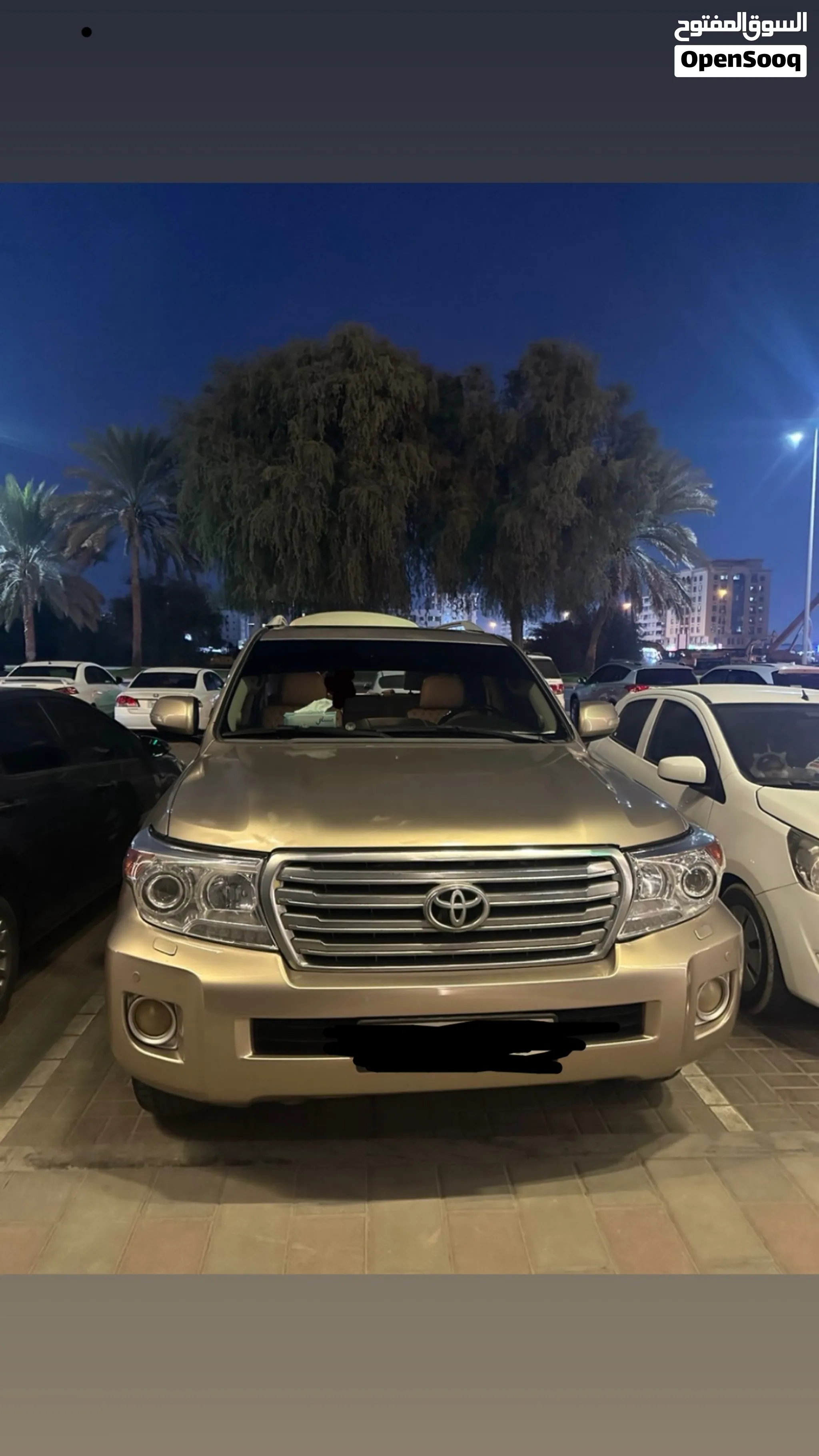 2011 Toyota Land Cruiser