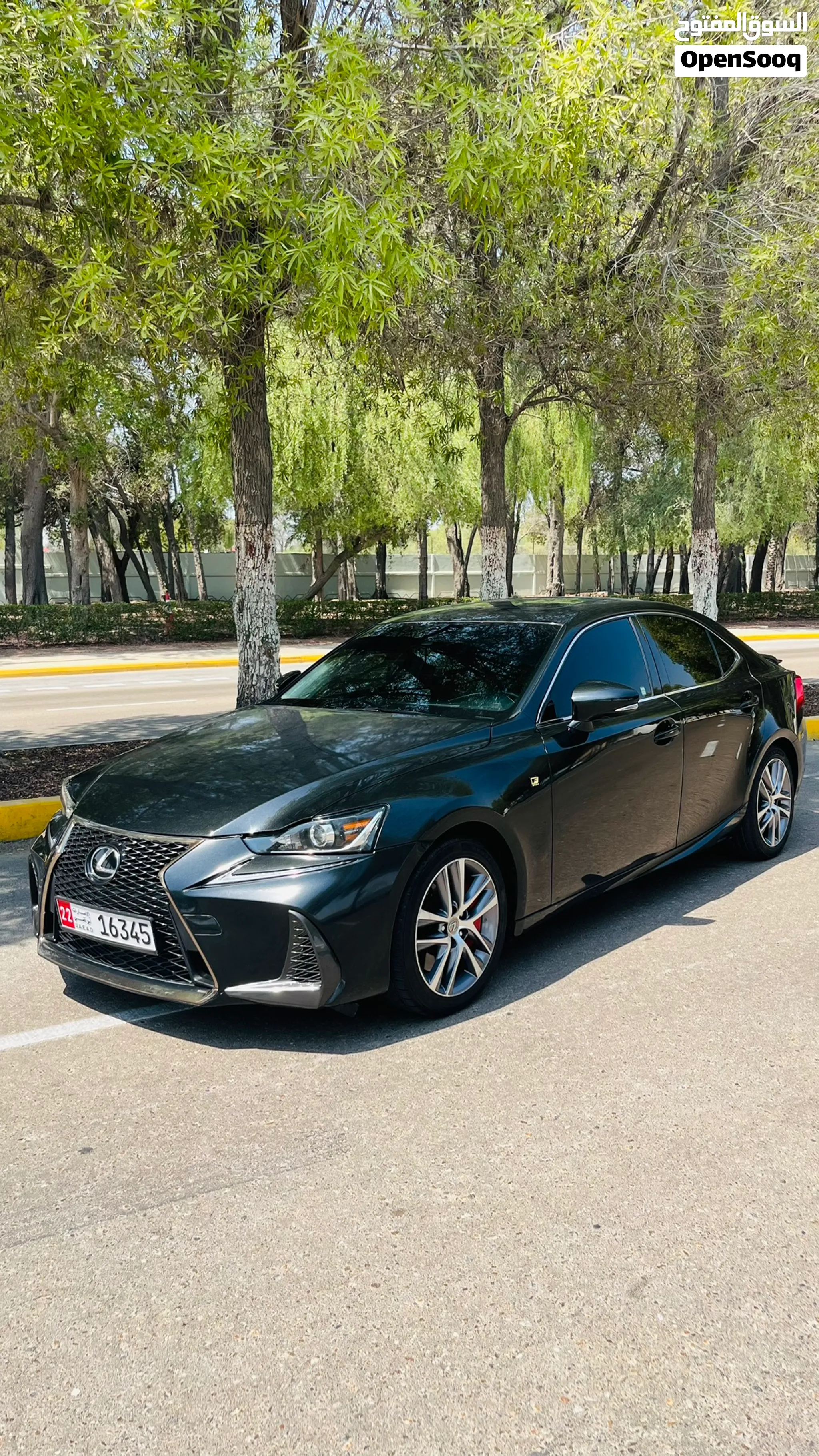 2019 Lexus IS
