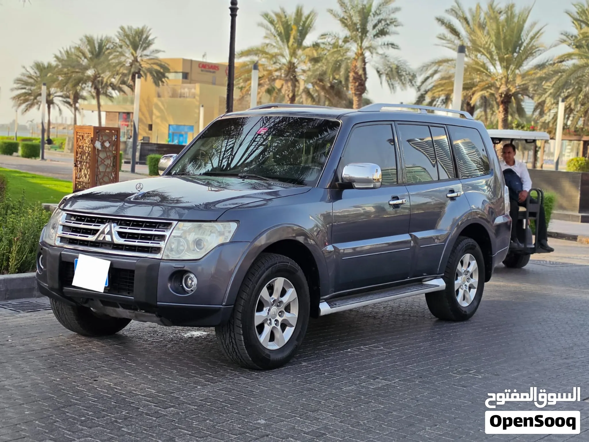 2010 Mitsubishi Pajero