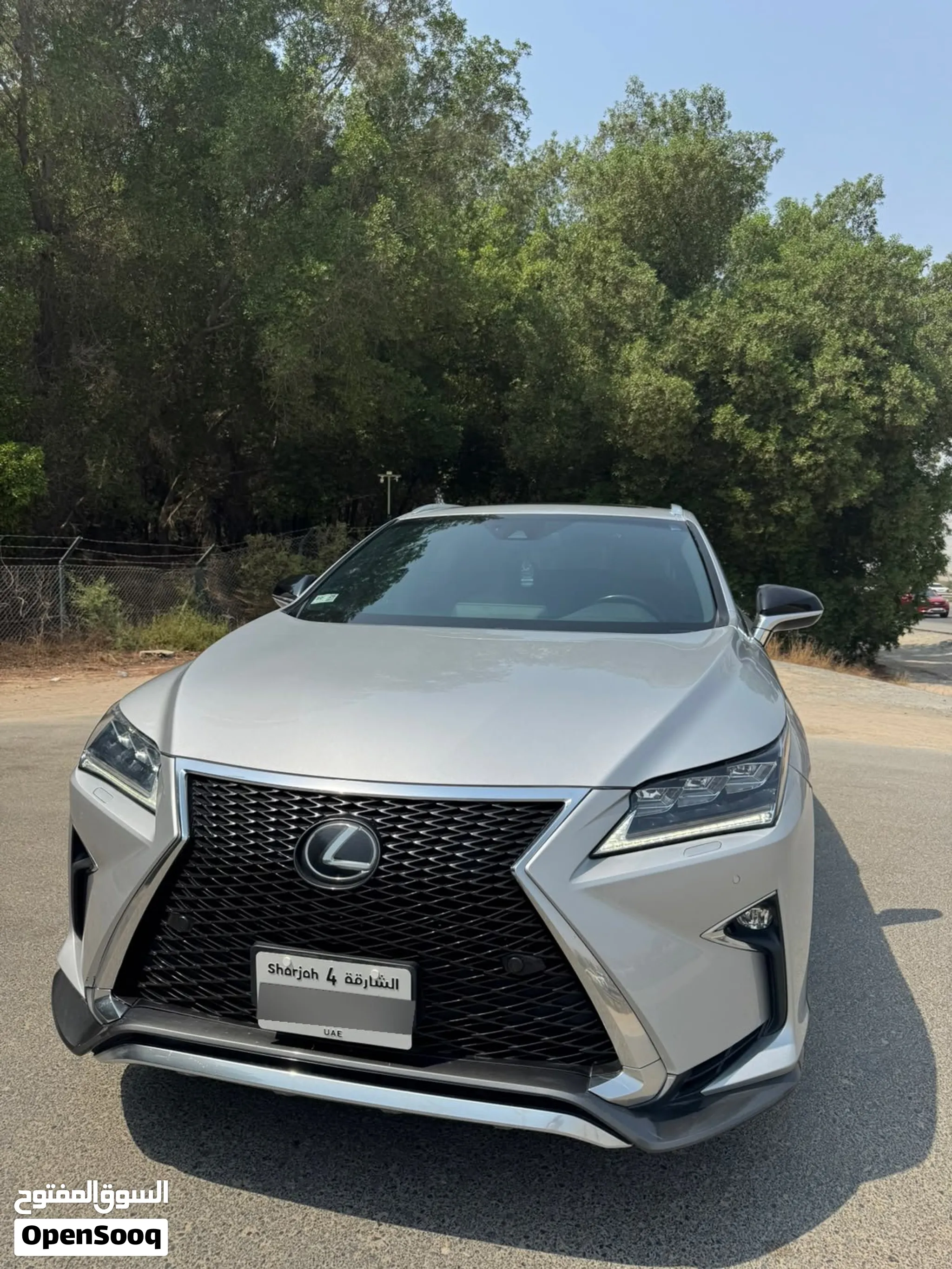 2019 Lexus RX