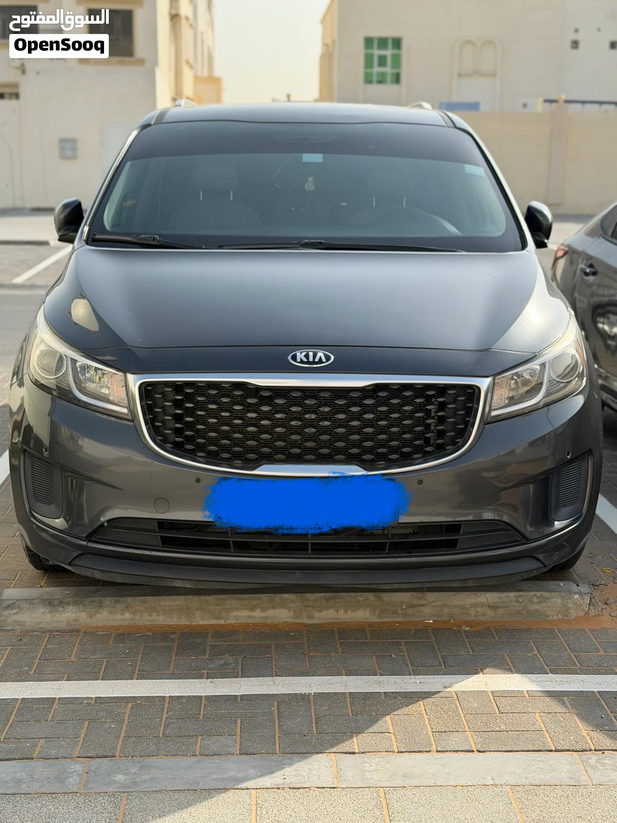 2017 Kia Sedona