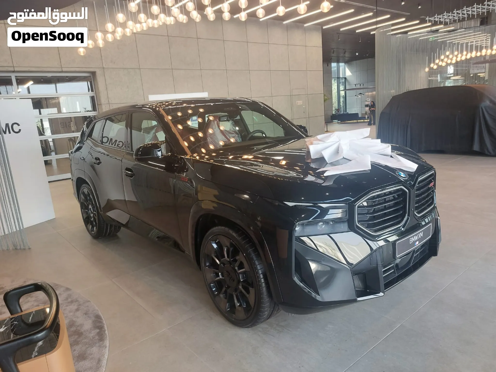 2025 BMW Xm Series
