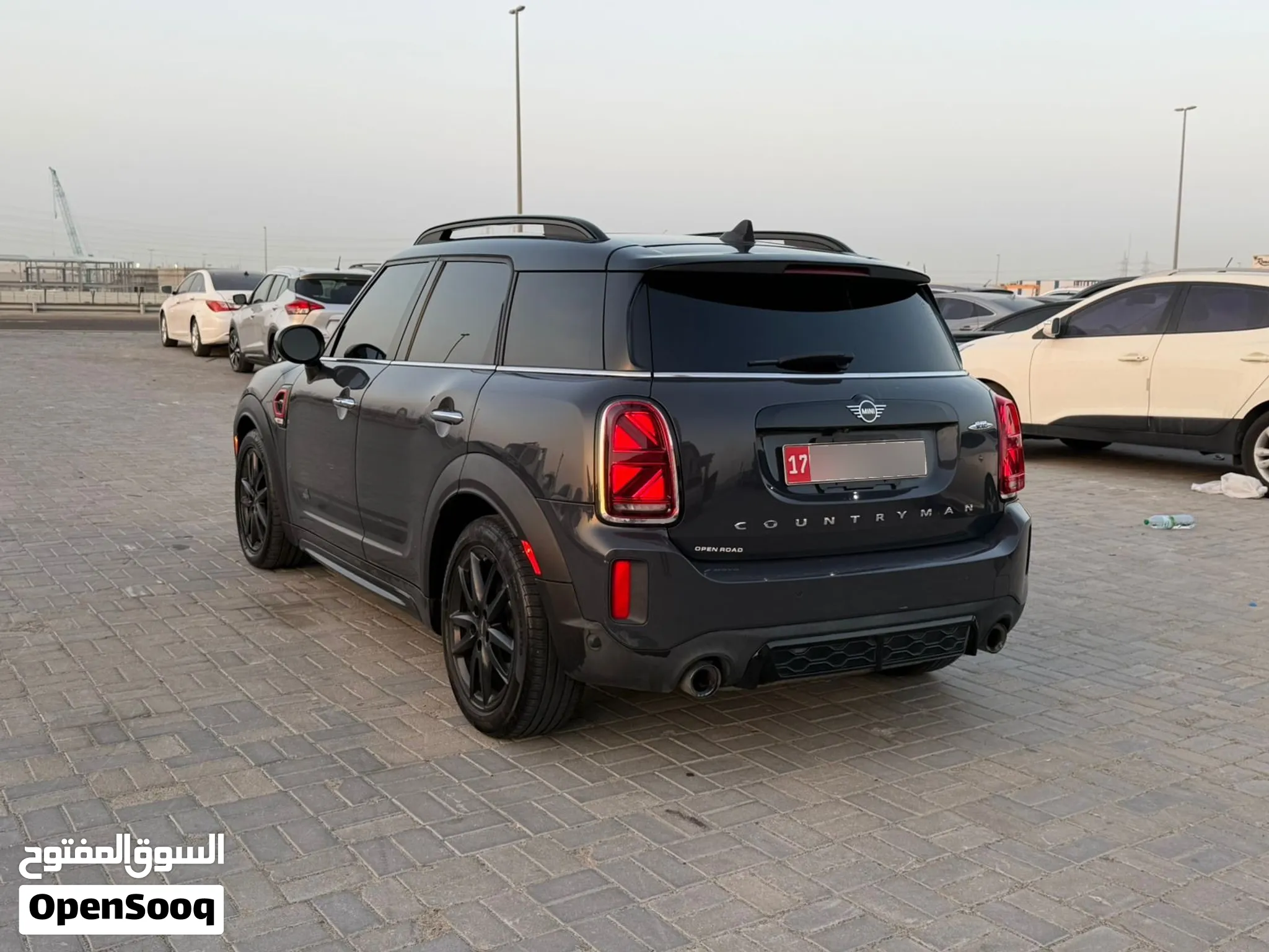 2021 Mini Other