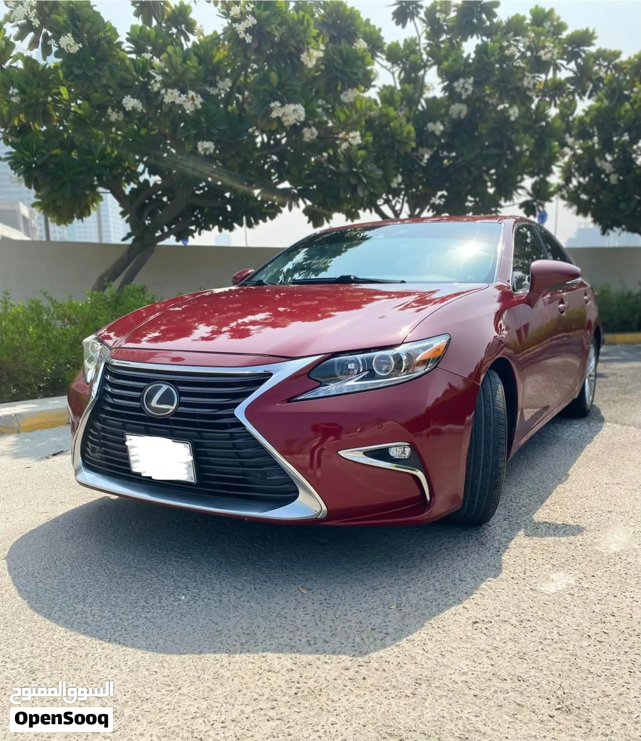 2017 Lexus ES