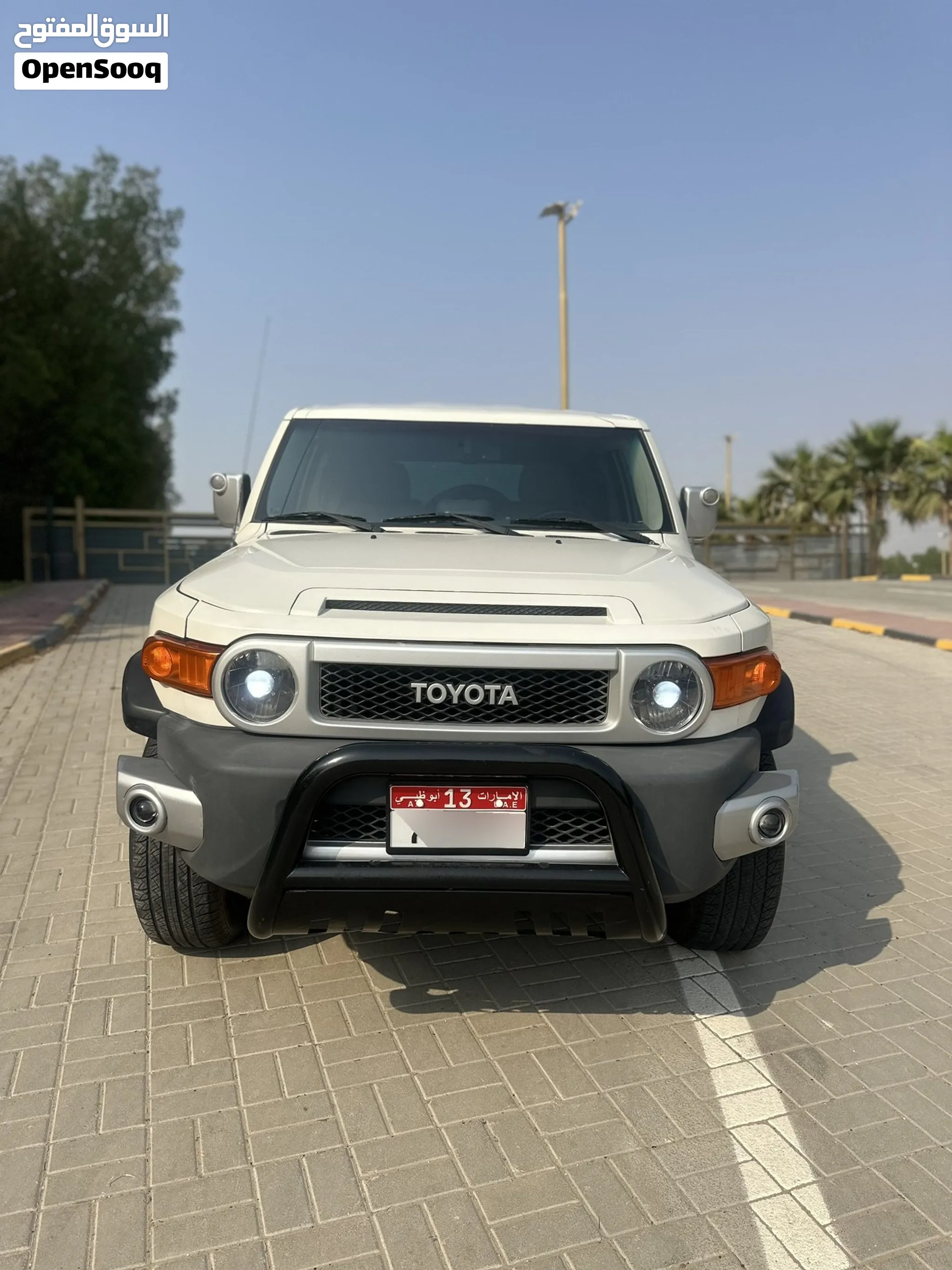 2011 Toyota Fj