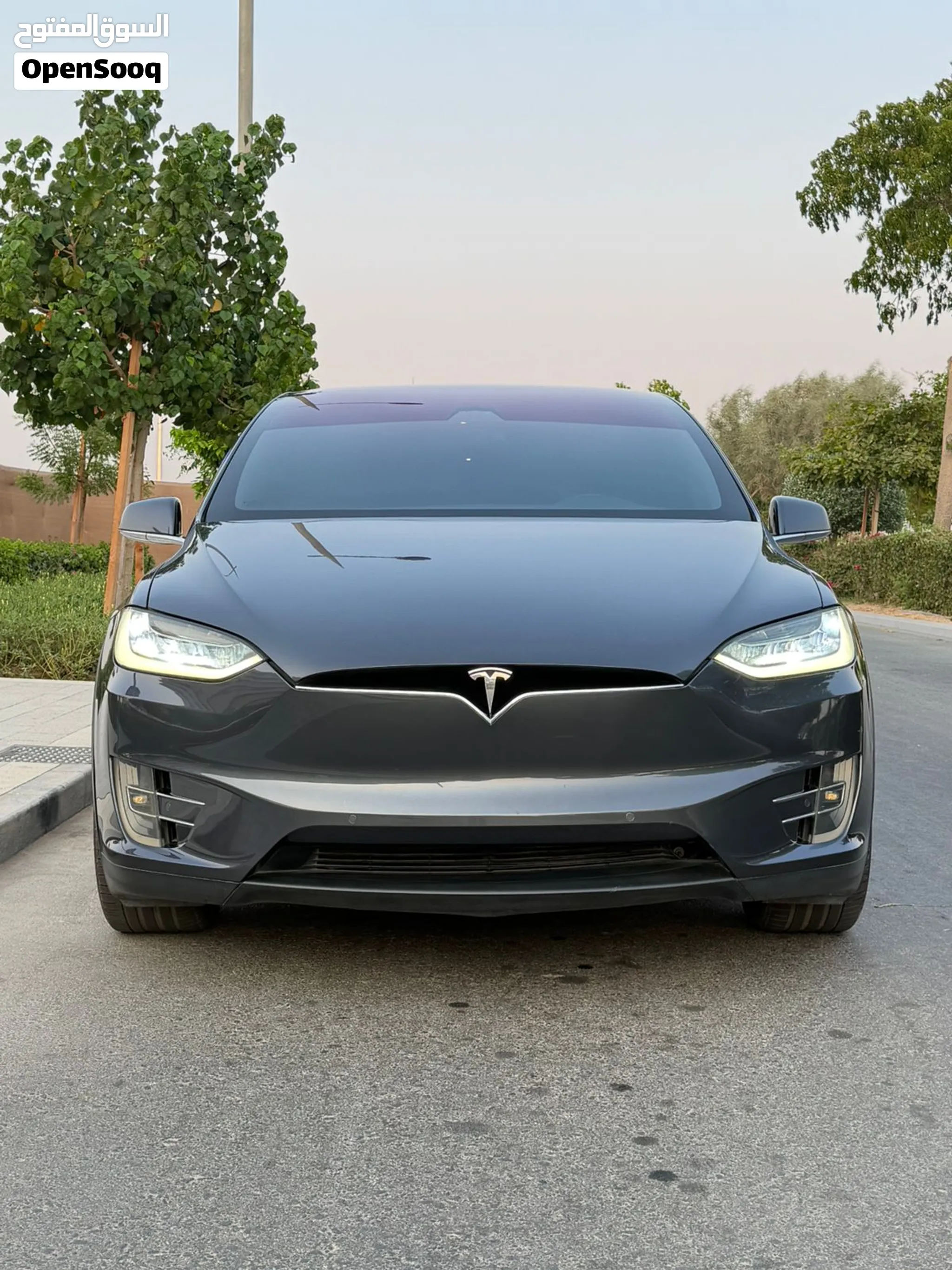 2018 Tesla Model X
