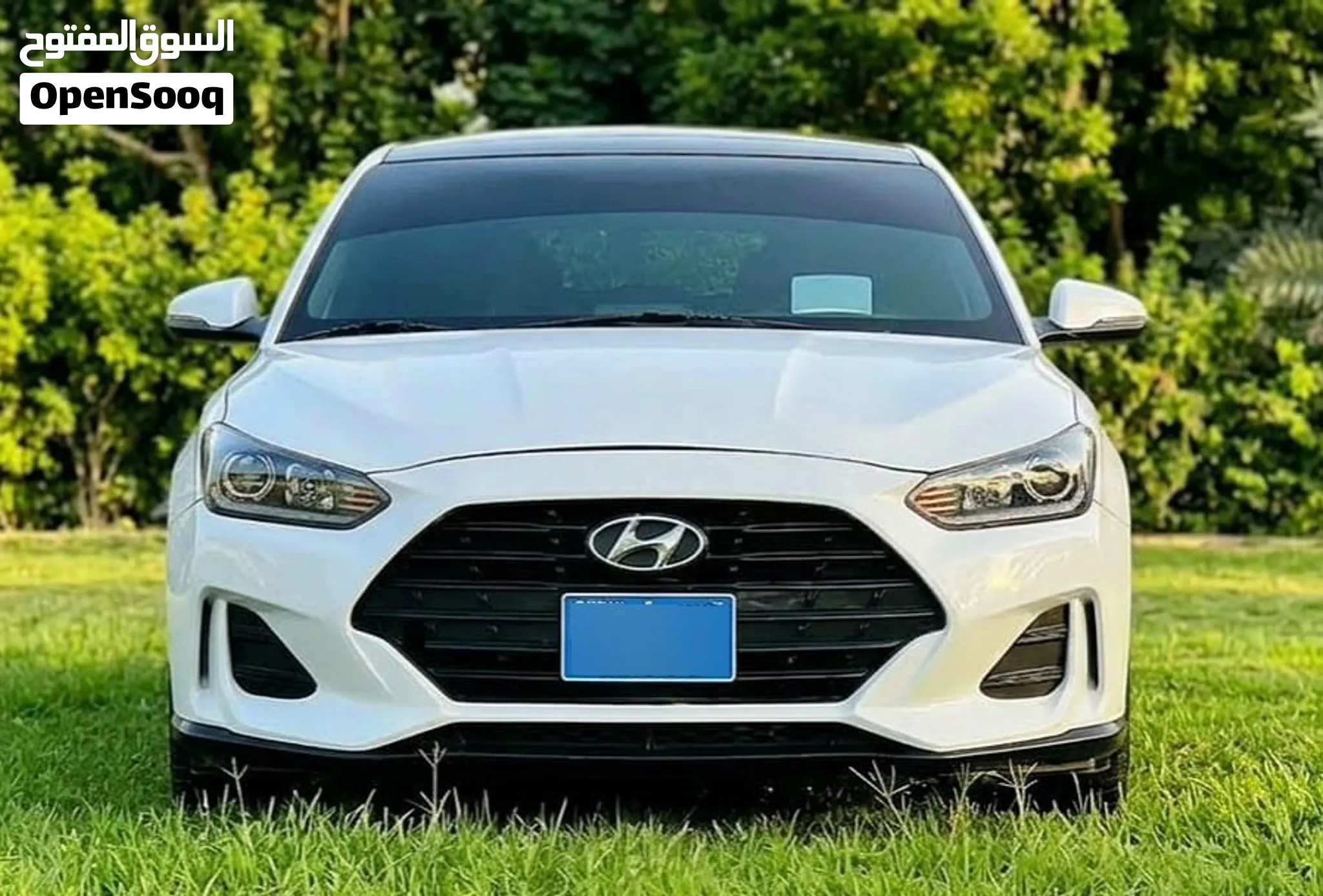 2019 Hyundai Veloster