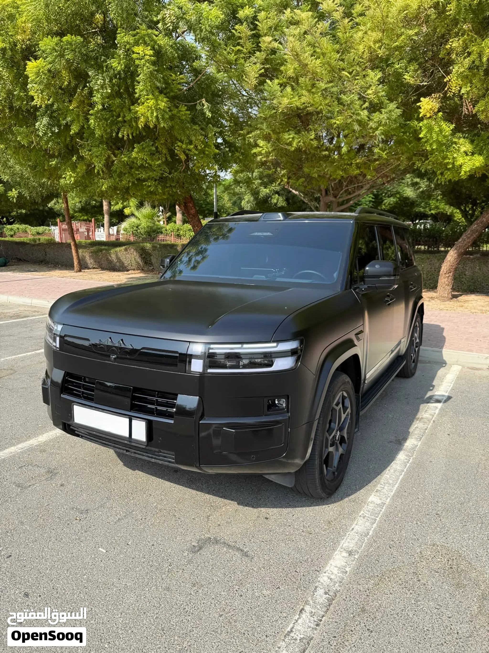 2025 BYD Leopard 7