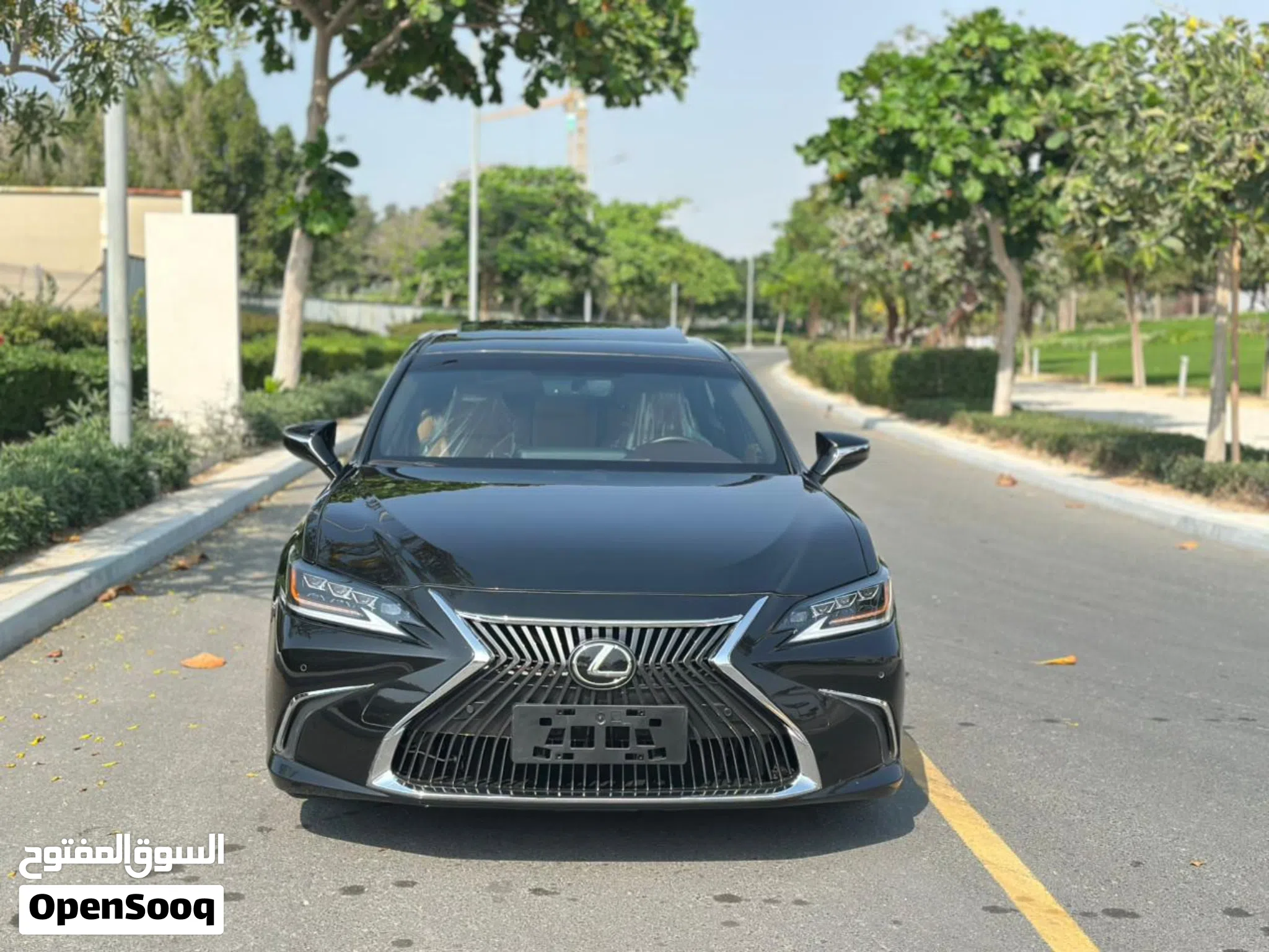 2019 Lexus ES