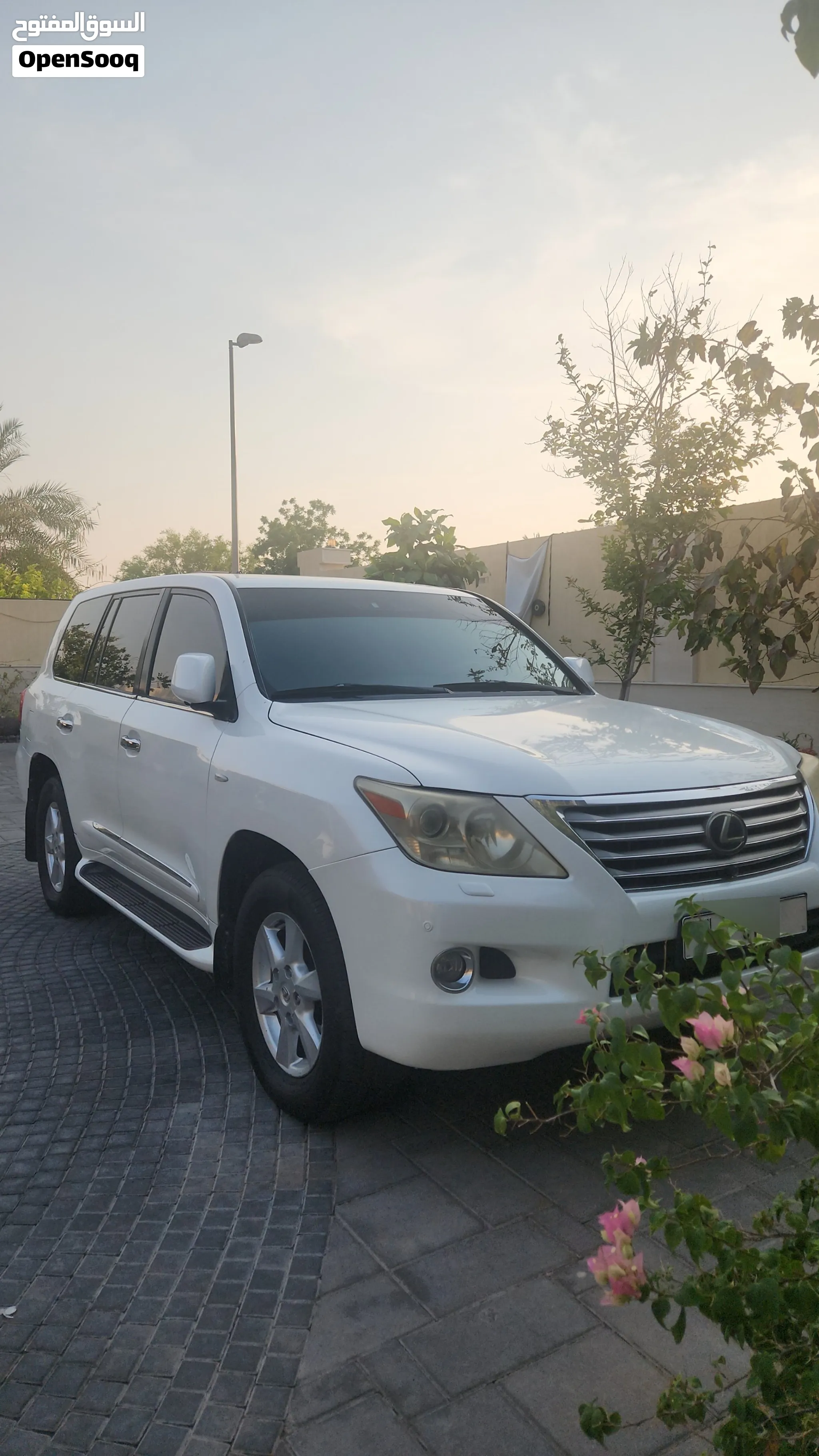 2009 Lexus LX