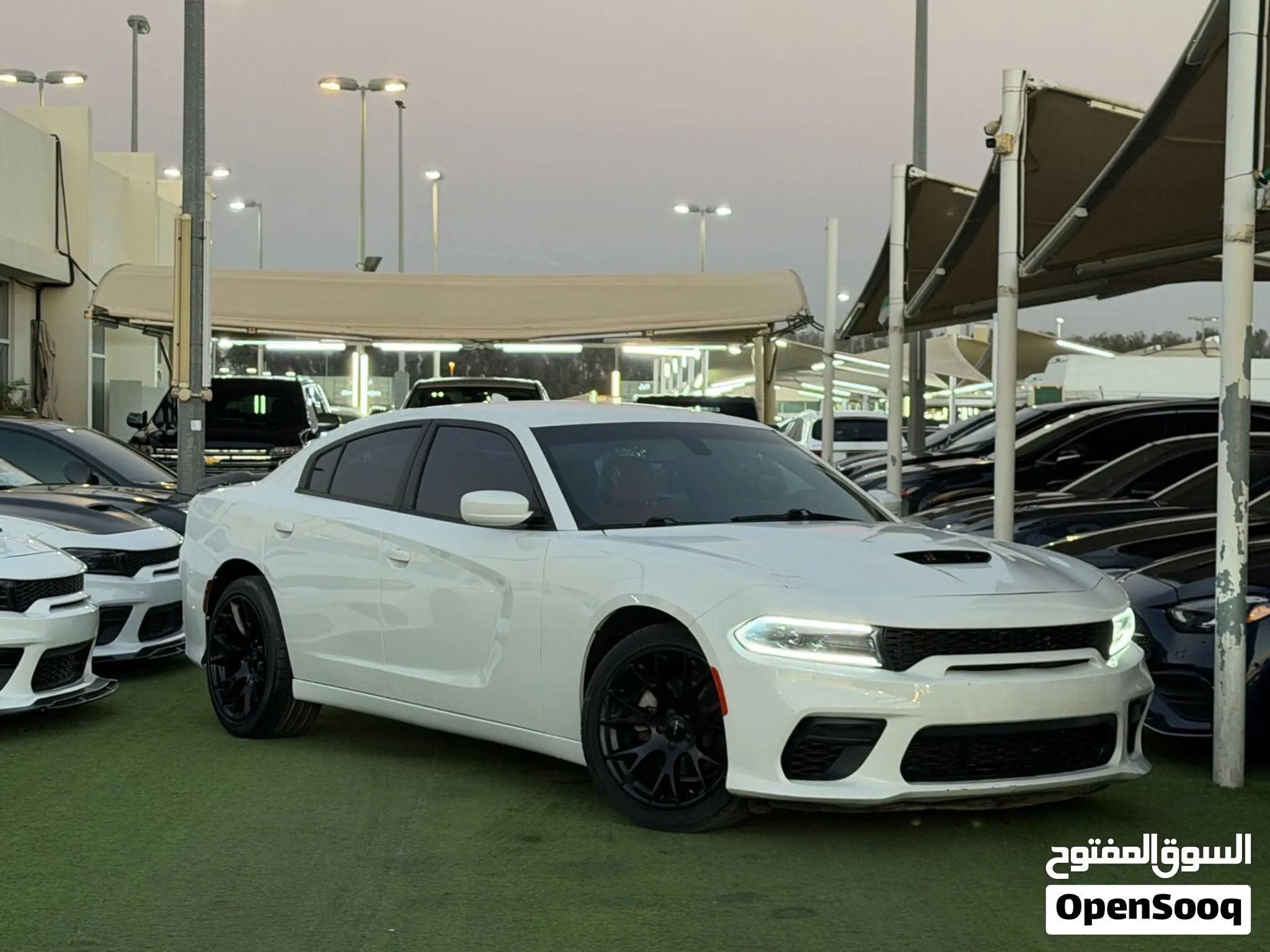 2019 Dodge Charger
